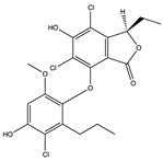 Pharmaceuticals 17 00328 i033 Pharmaceuticals 17 00328 i033