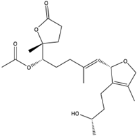 Pharmaceuticals 17 00328 i051 Pharmaceuticals 17 00328 i051