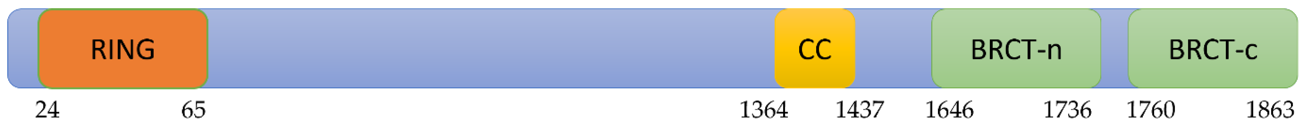 Pharmaceuticals 17 00333 g001