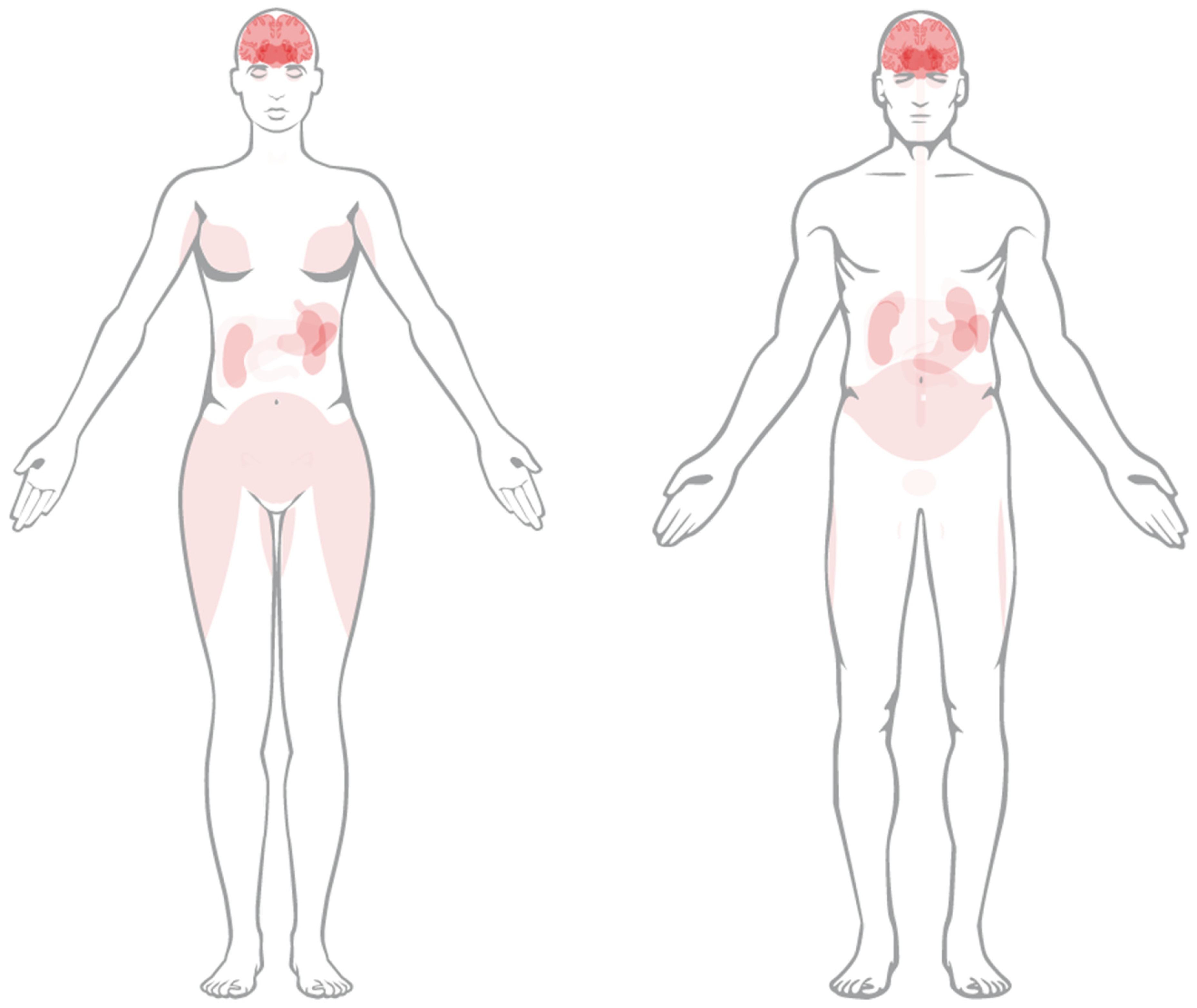 Pharmaceuticals 17 00334 g001