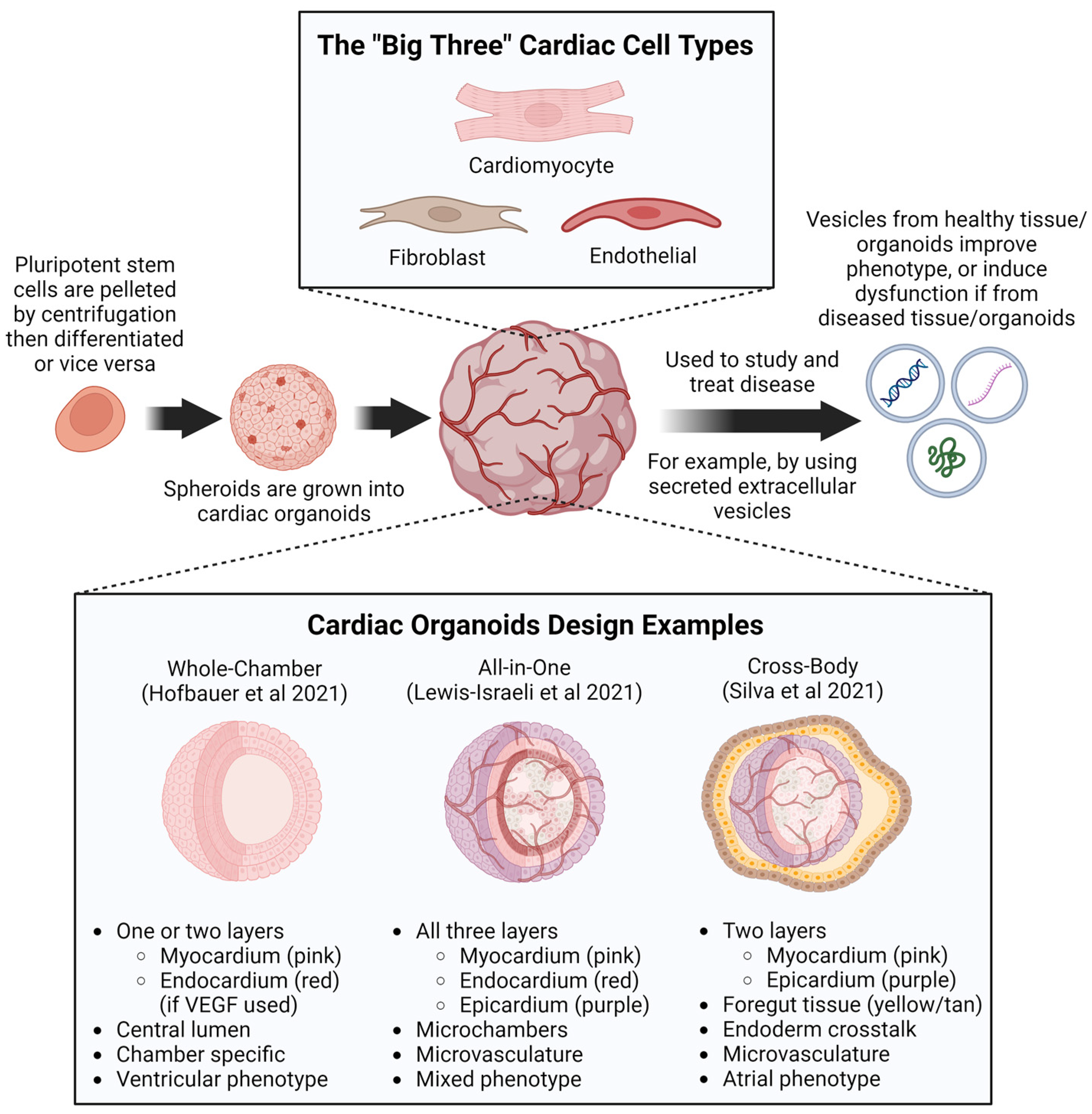 Pharmaceuticals 17 00337 g003 Pharmaceuticals 17 00337 g003