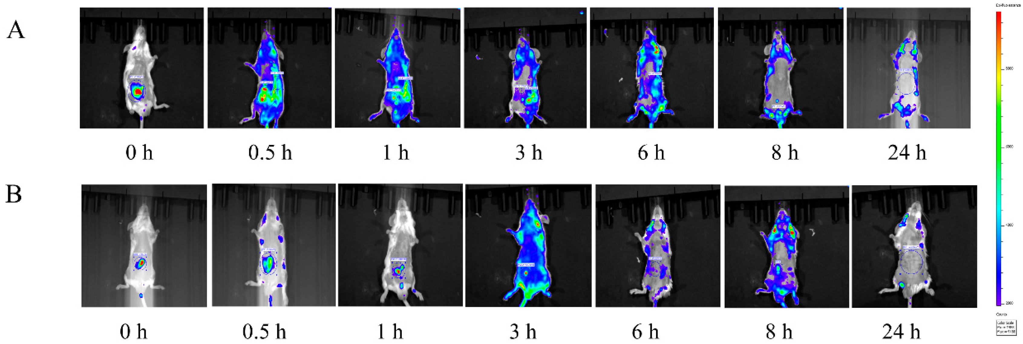 Pharmaceuticals 17 00343 g004
