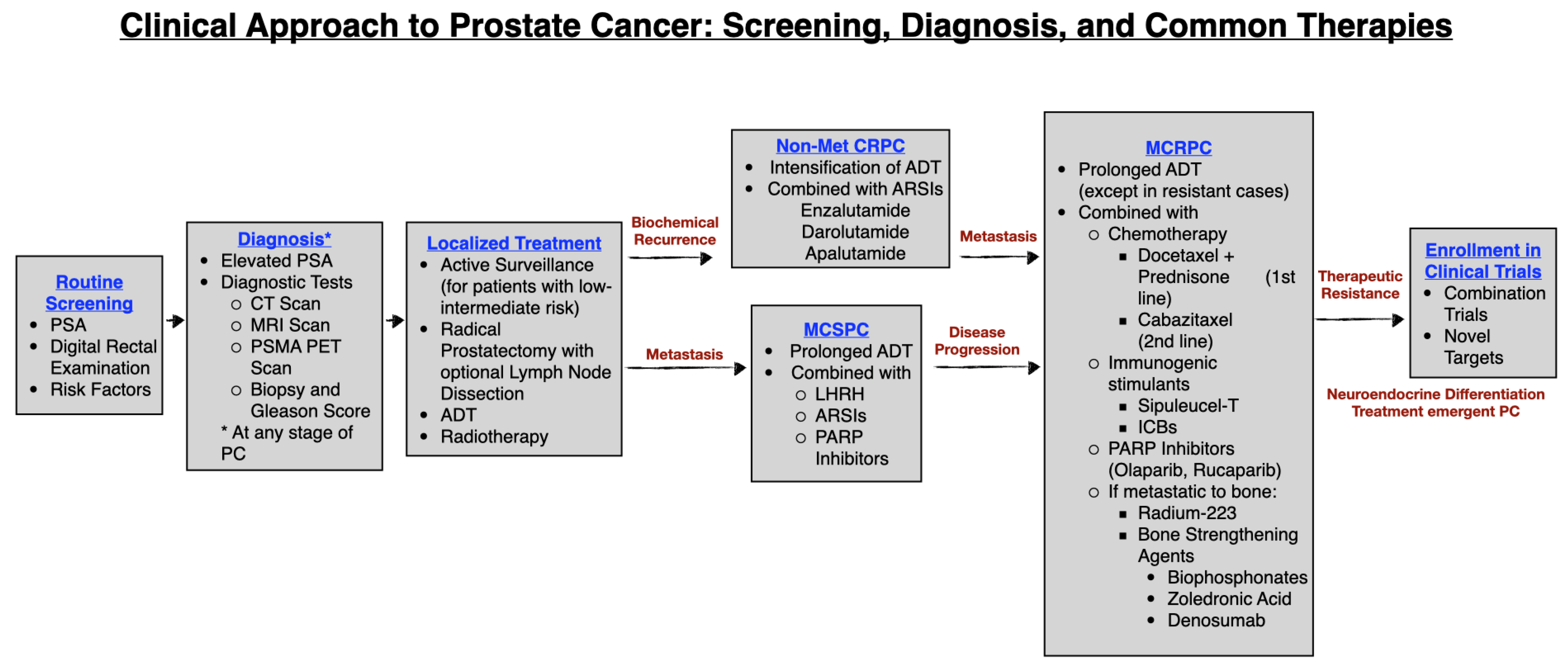 Pharmaceuticals 17 00351 g001