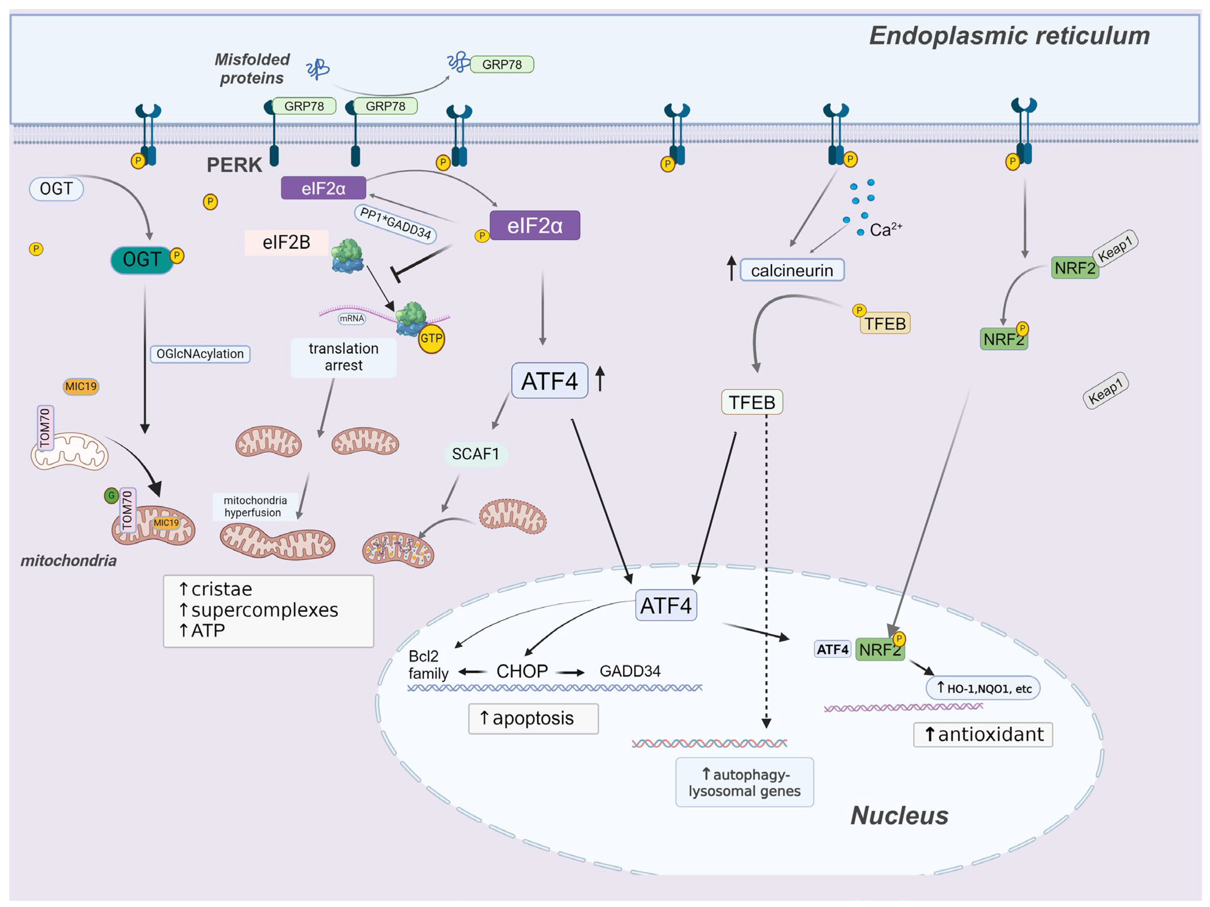 Pharmaceuticals 17 00353 g001