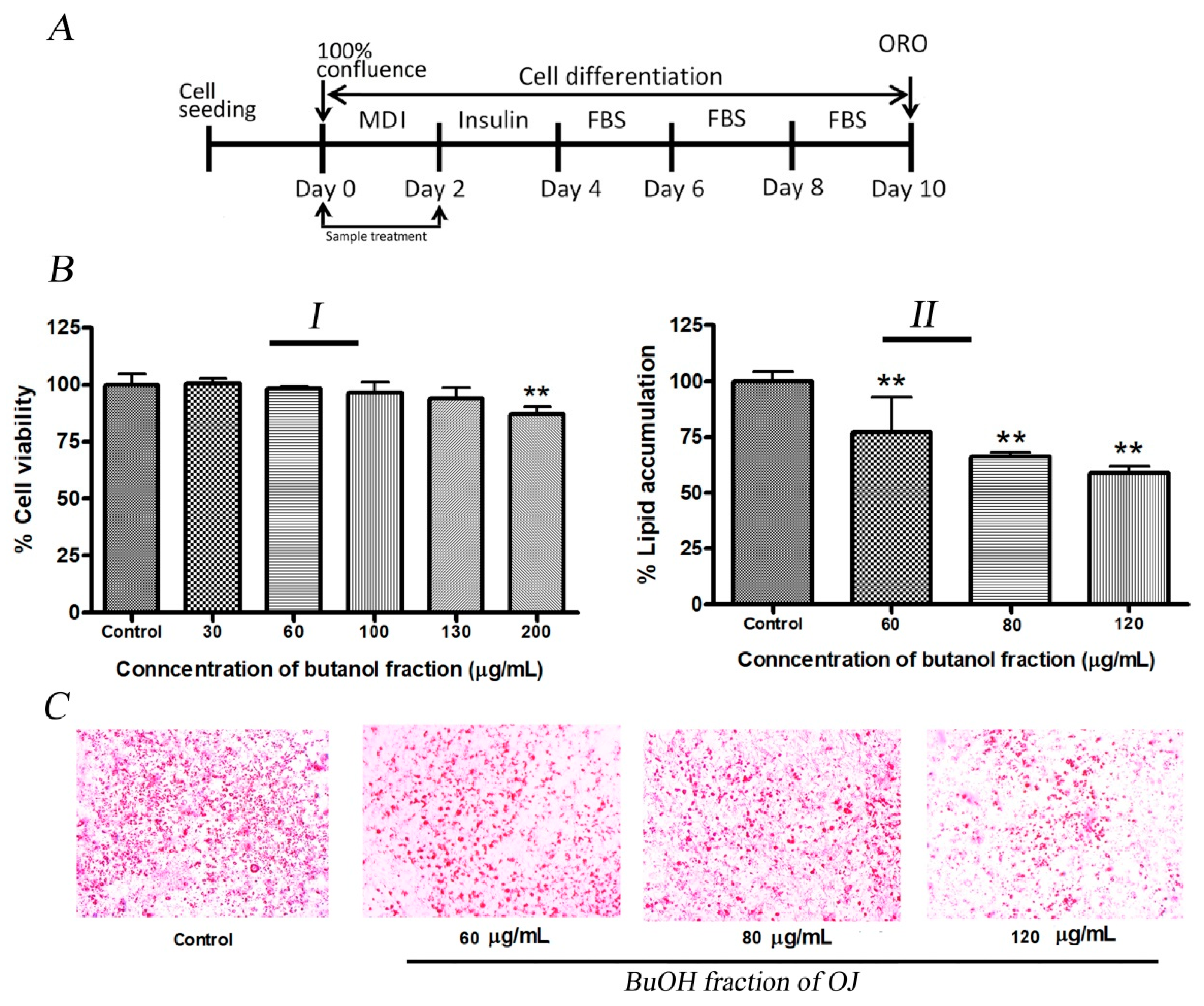 Pharmaceuticals 17 00357 g002