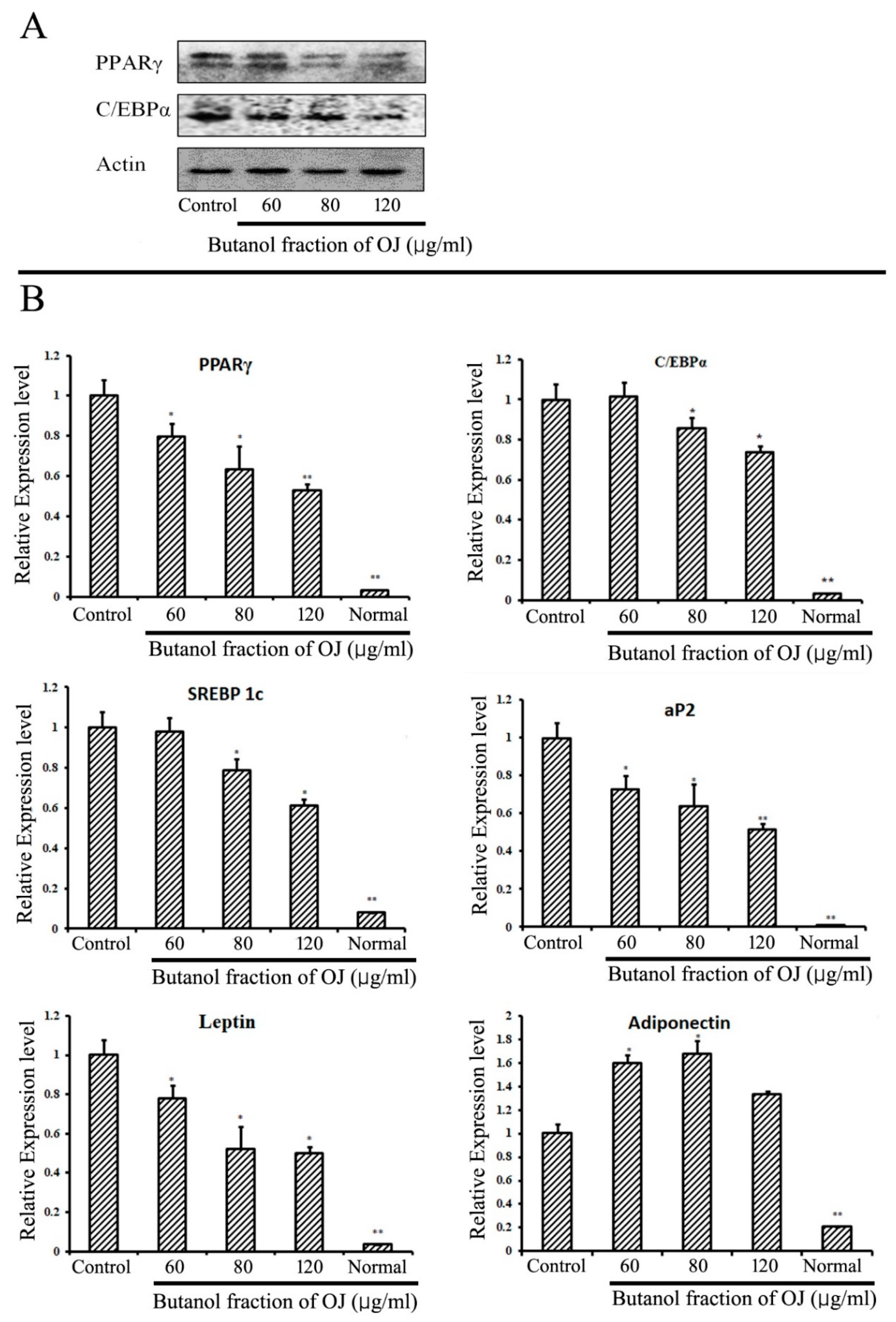 Pharmaceuticals 17 00357 g003