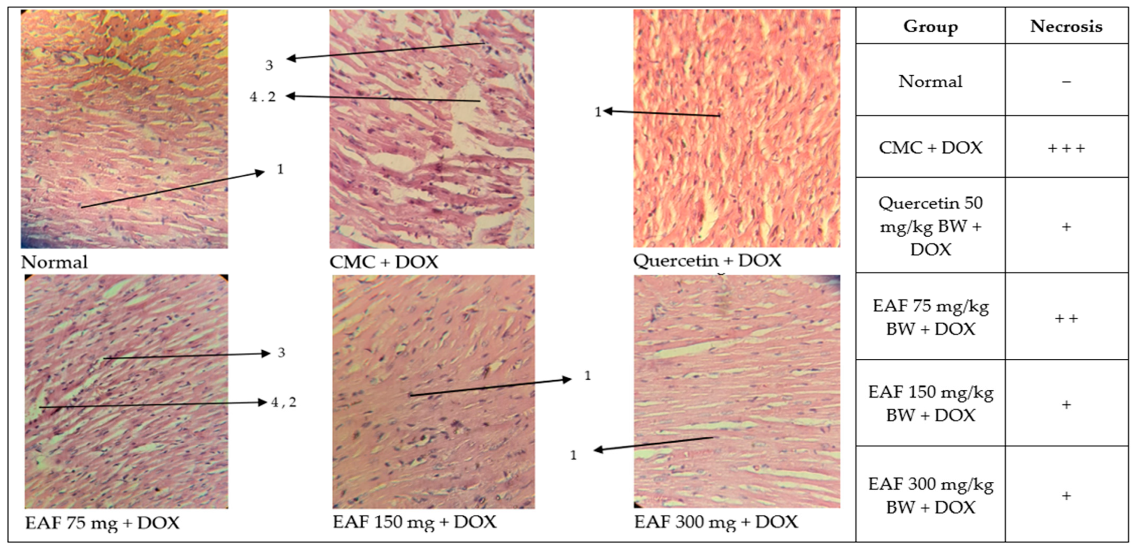 Pharmaceuticals 17 00359 g004