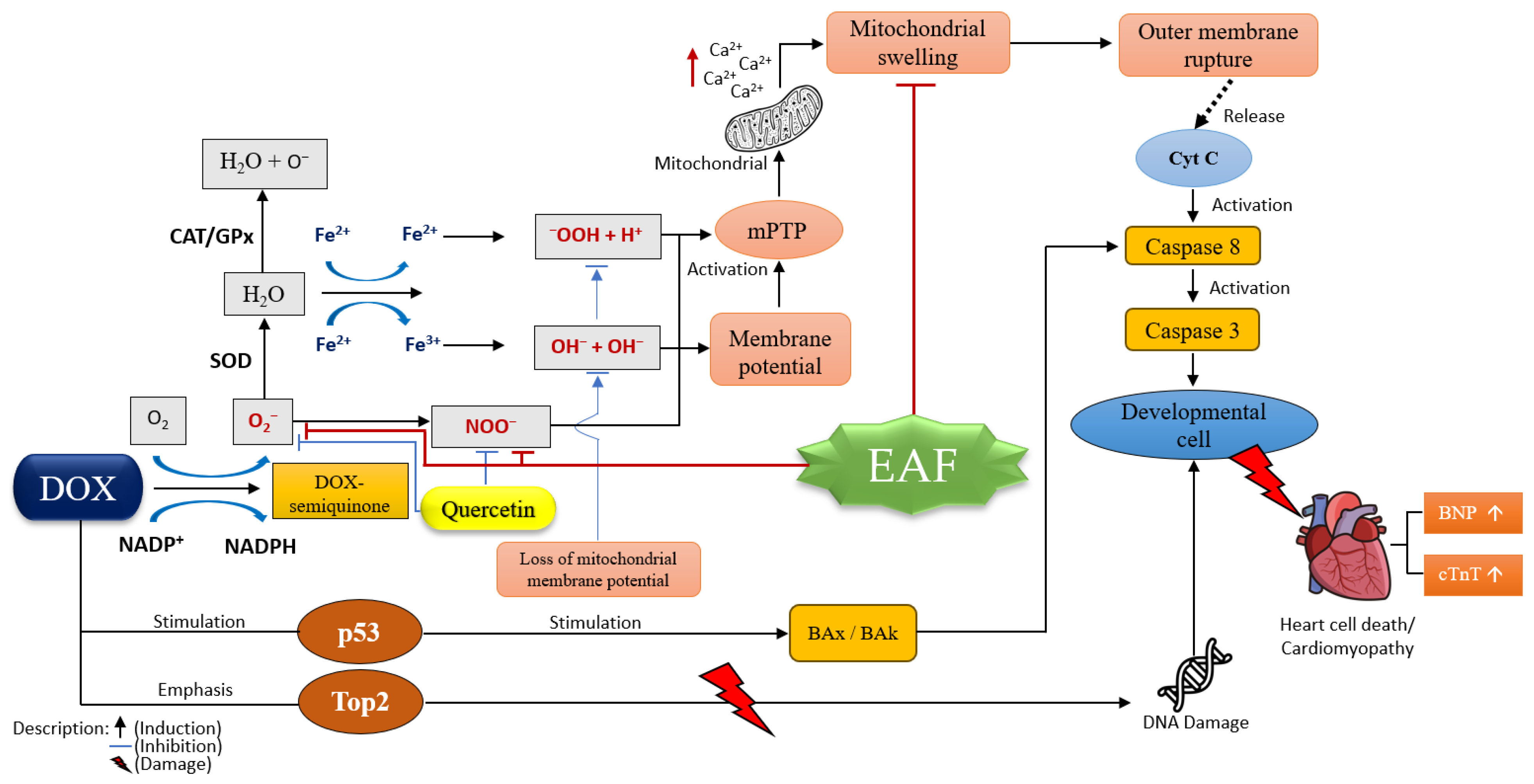Pharmaceuticals 17 00359 g005