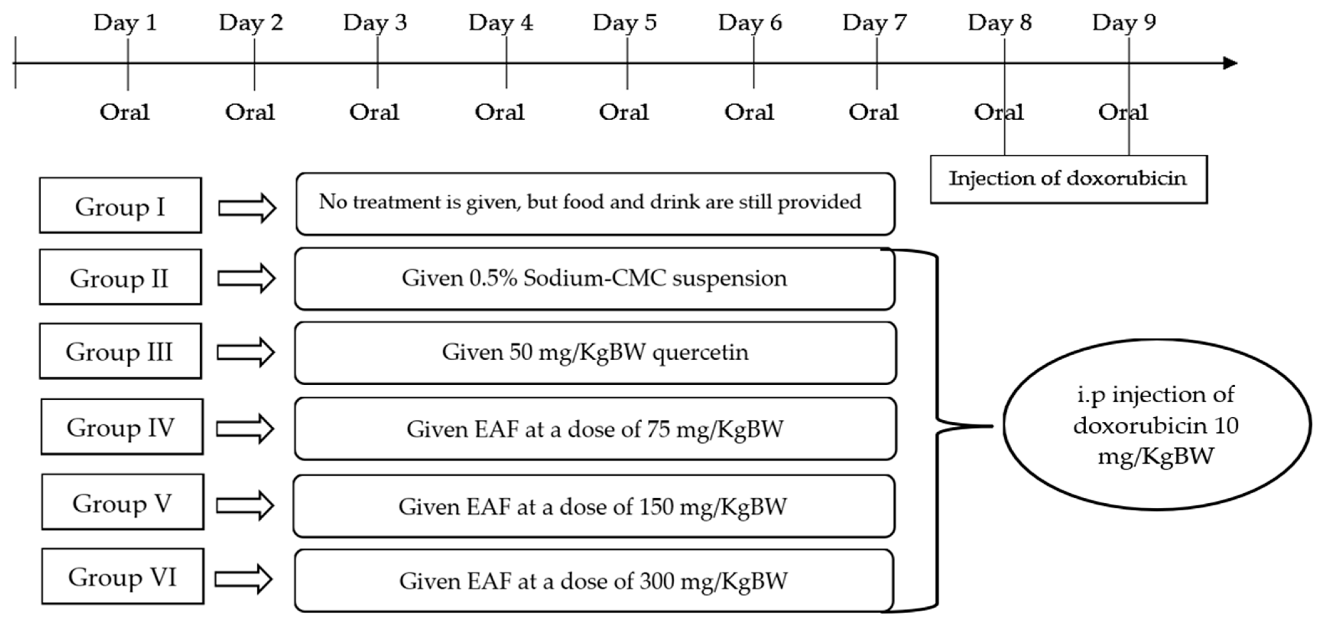 Pharmaceuticals 17 00359 g006