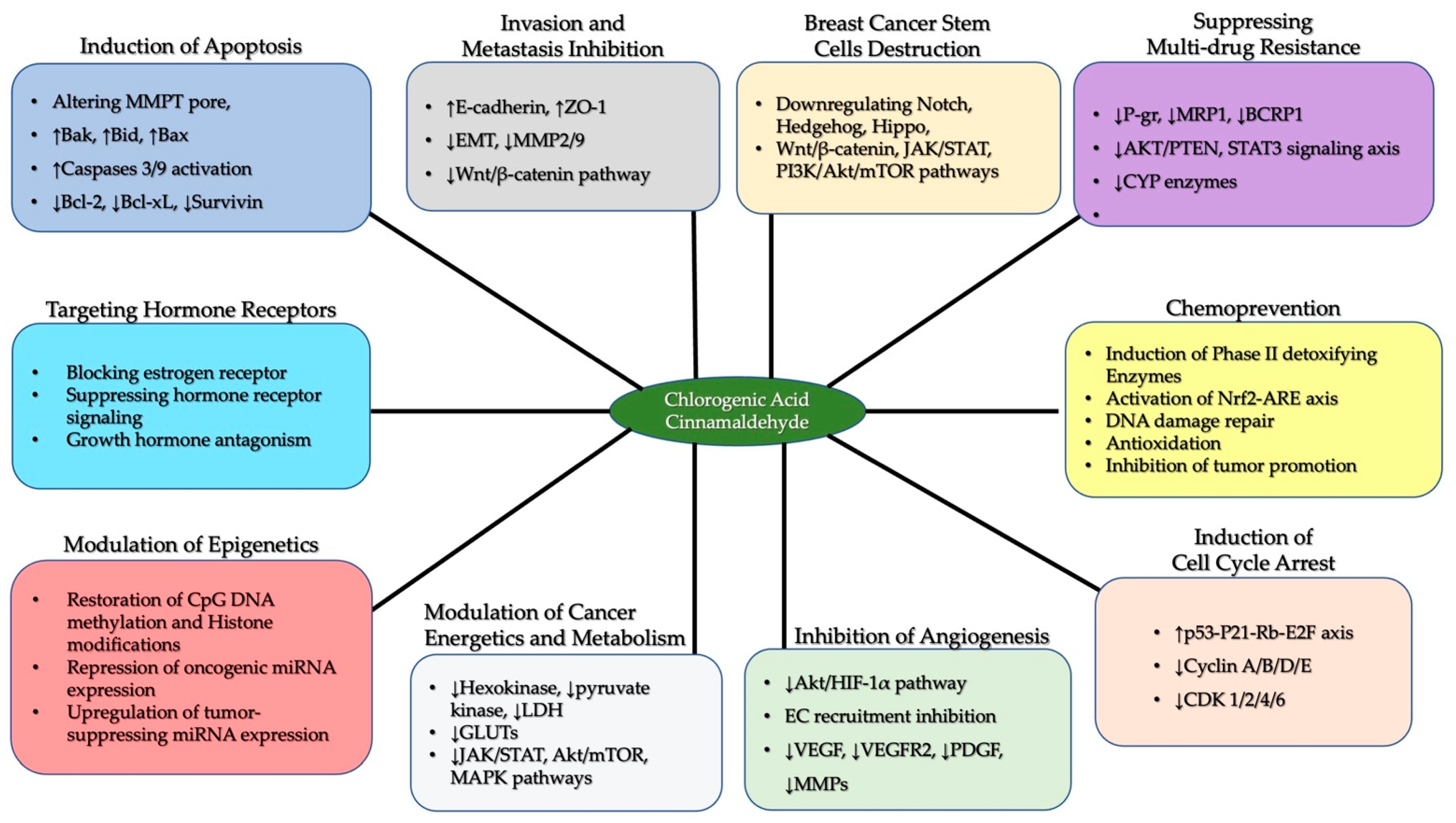 Pharmaceuticals 17 00361 g003 Pharmaceuticals 17 00361 g003