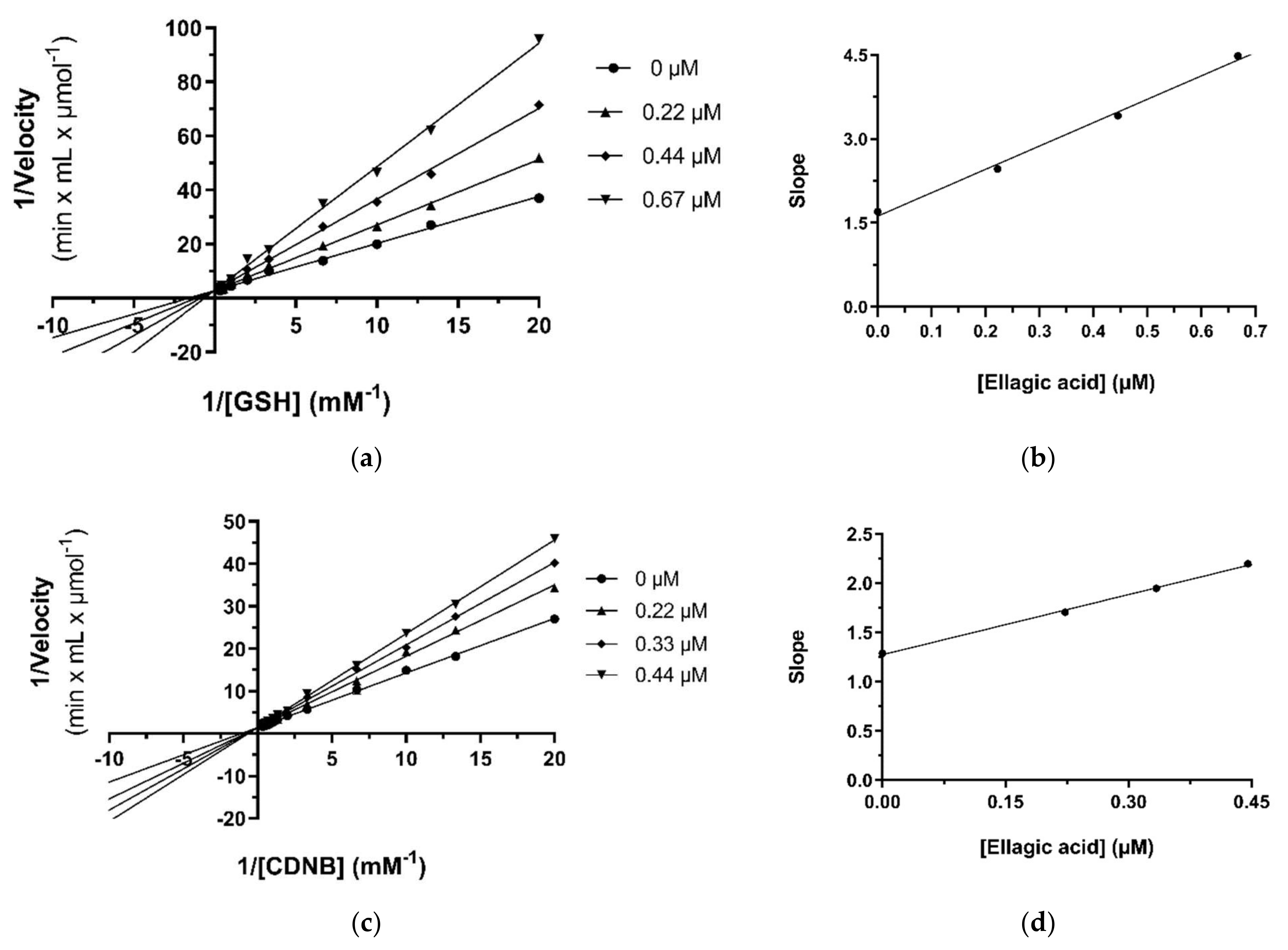 Pharmaceuticals 17 00365 g004