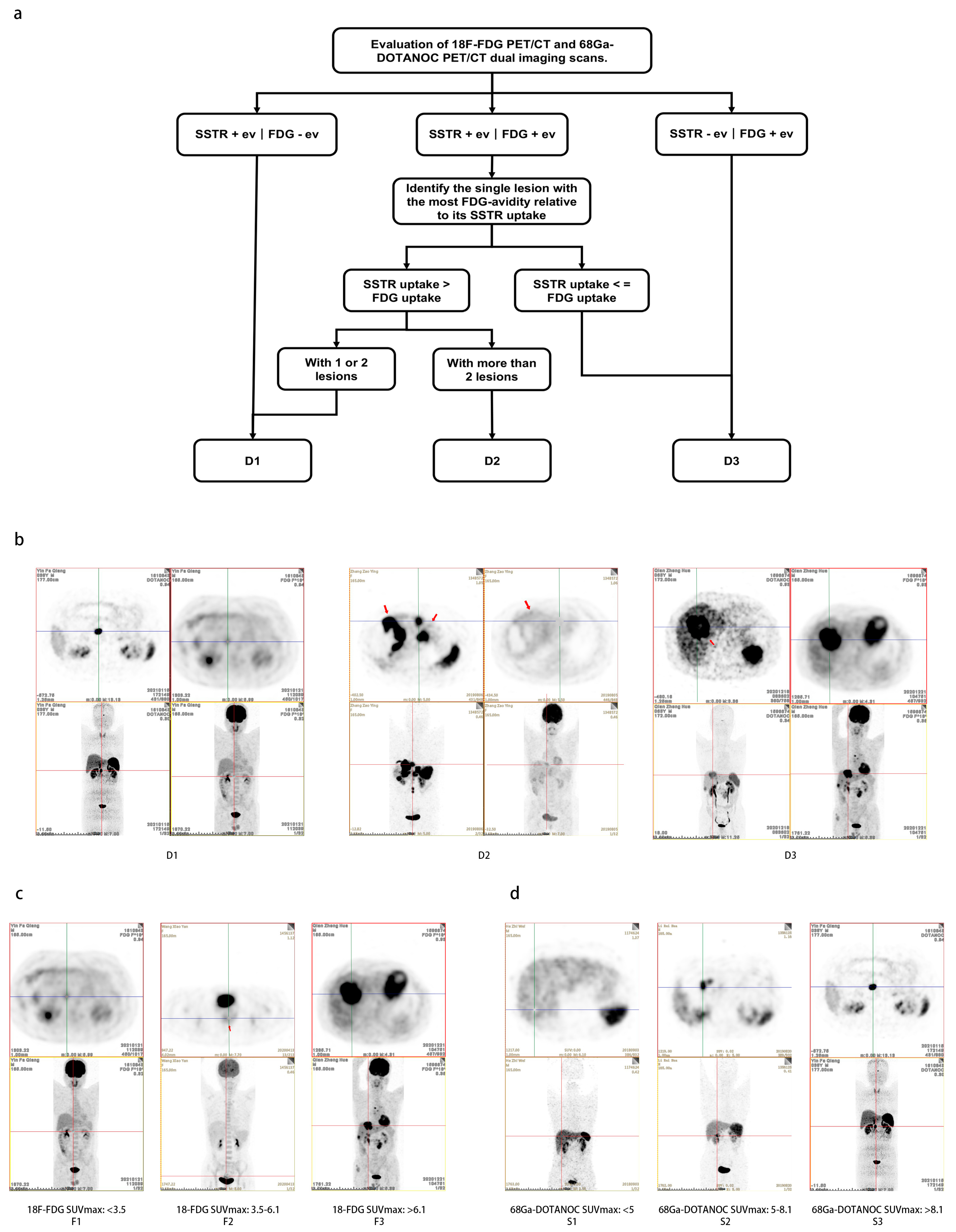 Pharmaceuticals 17 00373 g001