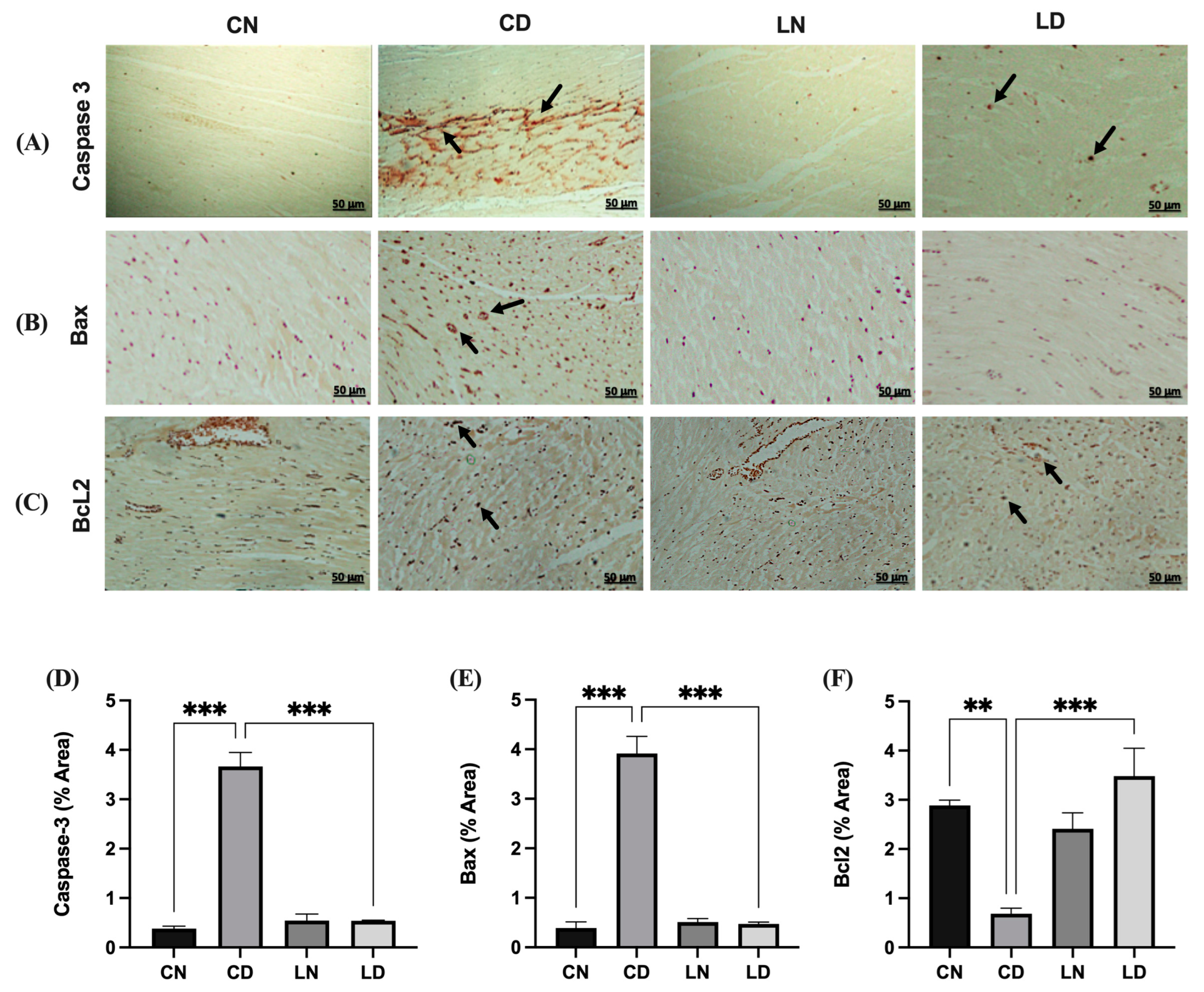 Pharmaceuticals 17 00374 g004