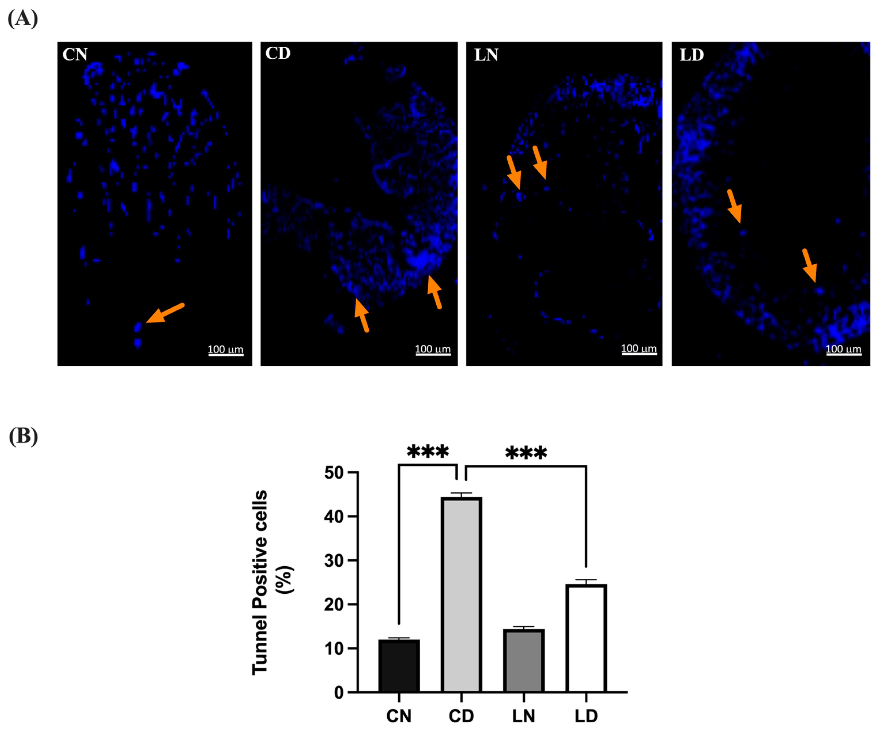 Pharmaceuticals 17 00374 g005