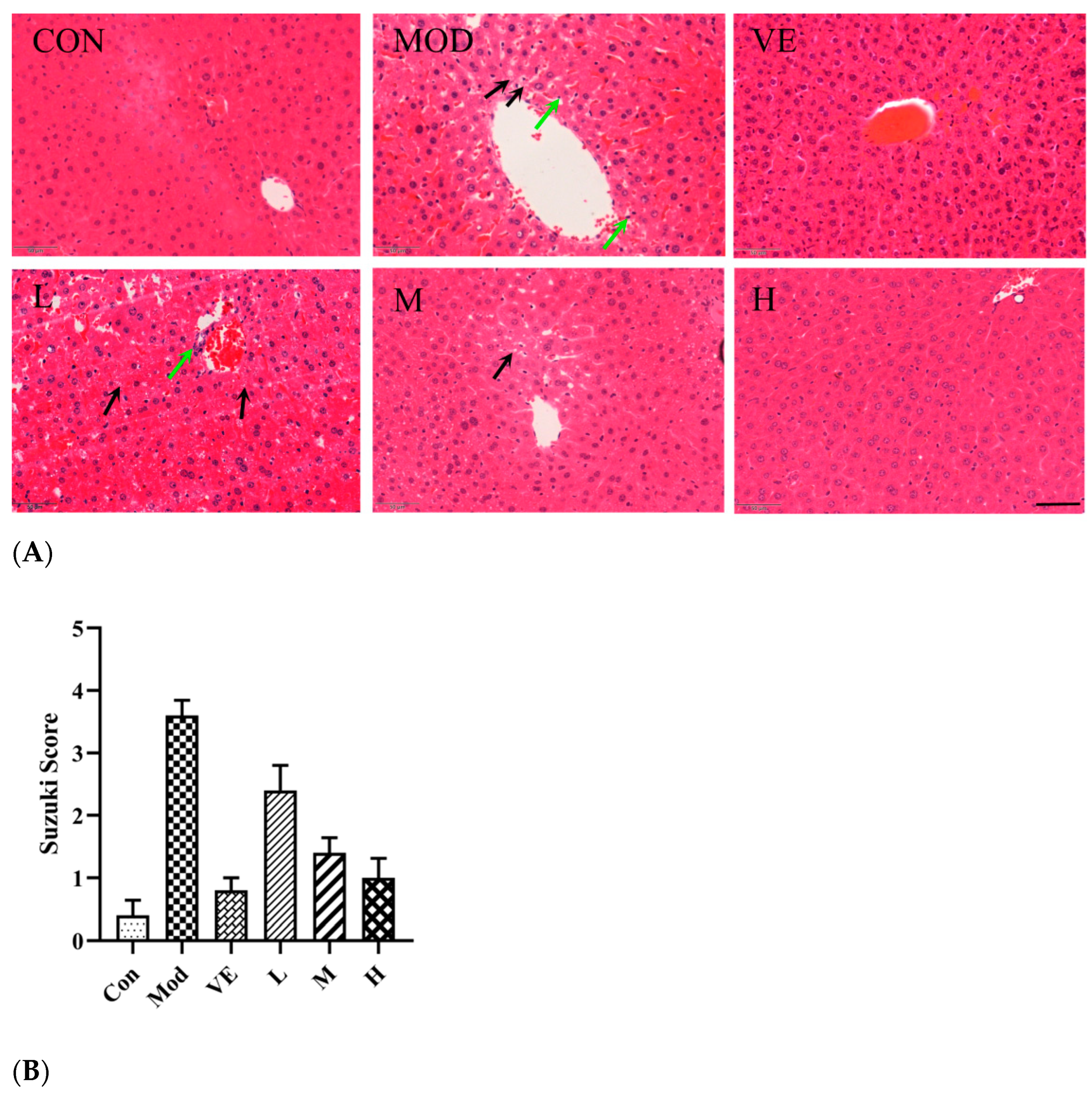Pharmaceuticals 17 00378 g004