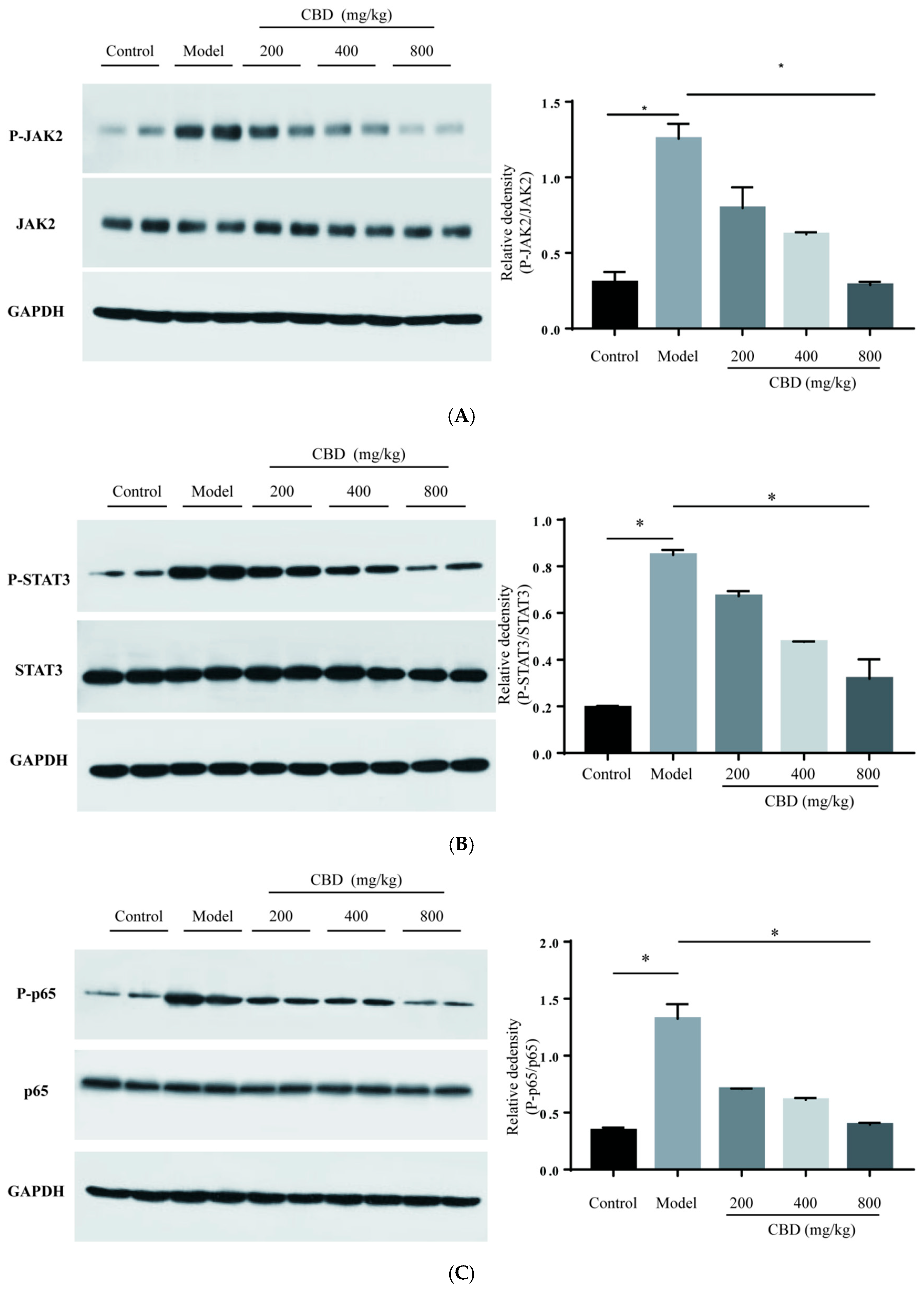 Pharmaceuticals 17 00378 g005a
