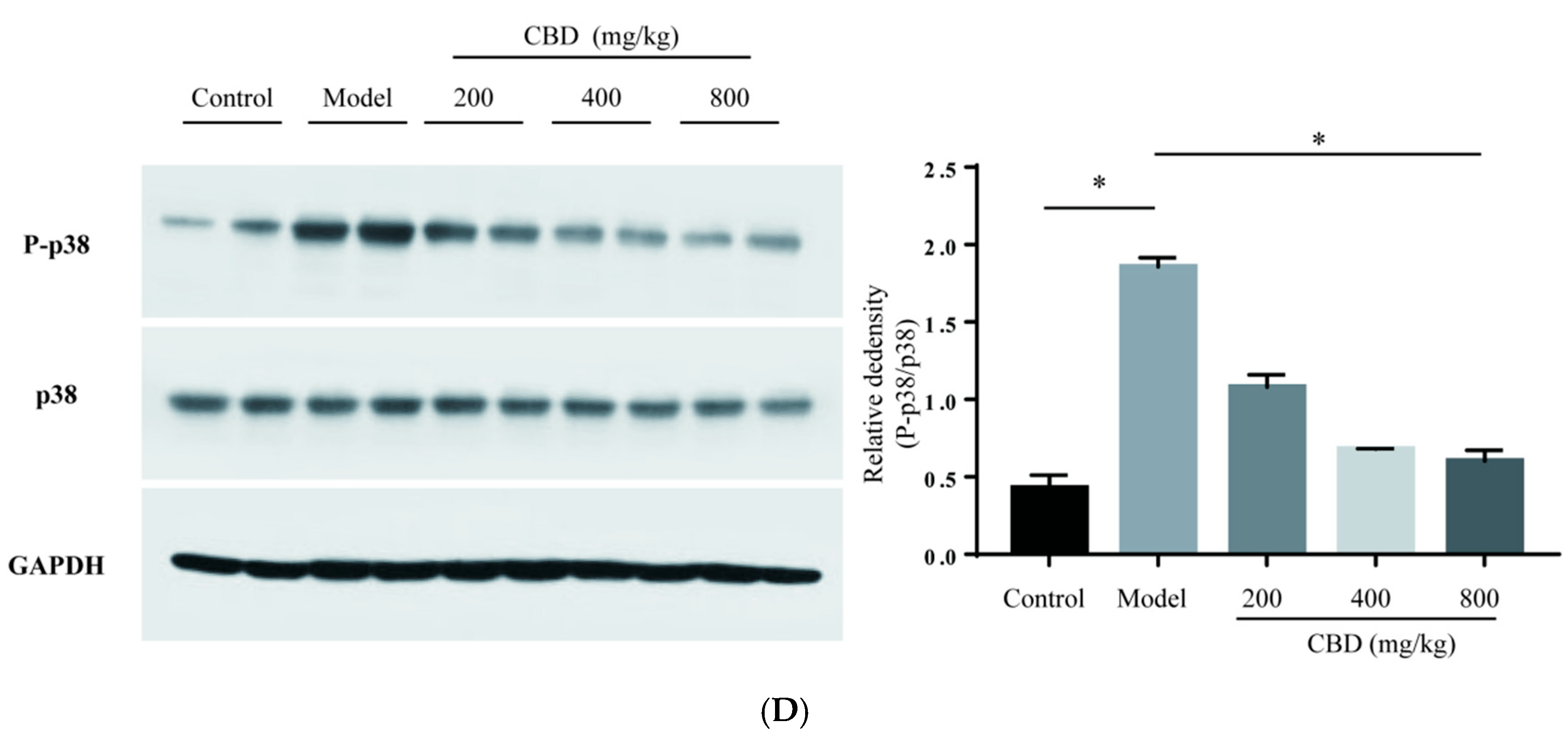 Pharmaceuticals 17 00378 g005b
