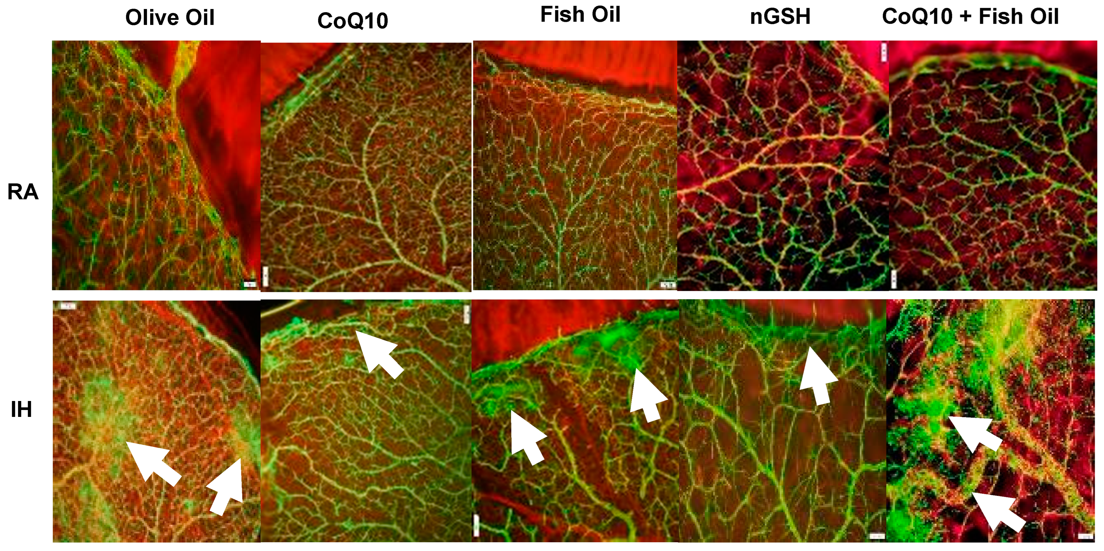 Pharmaceuticals 17 00381 g002