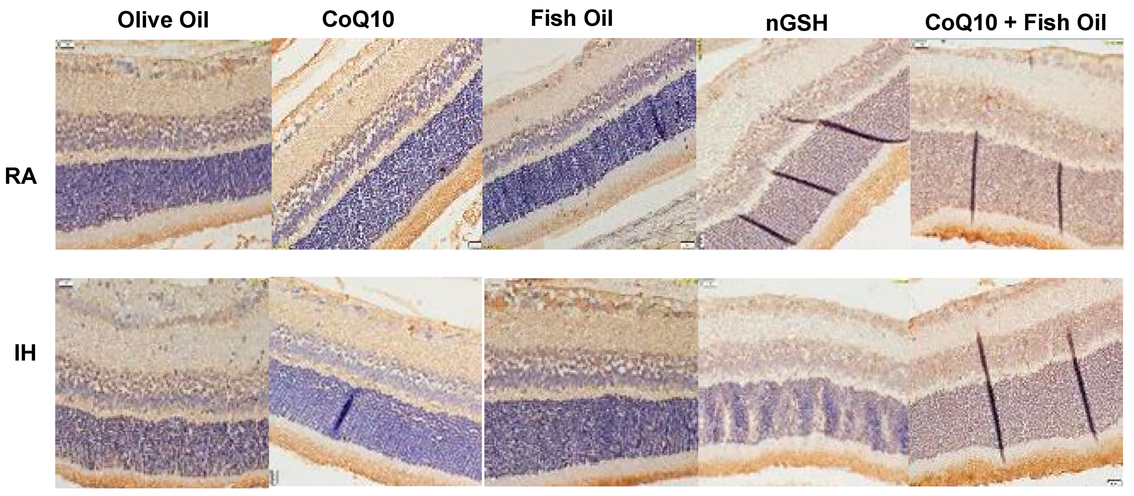Pharmaceuticals 17 00381 g005