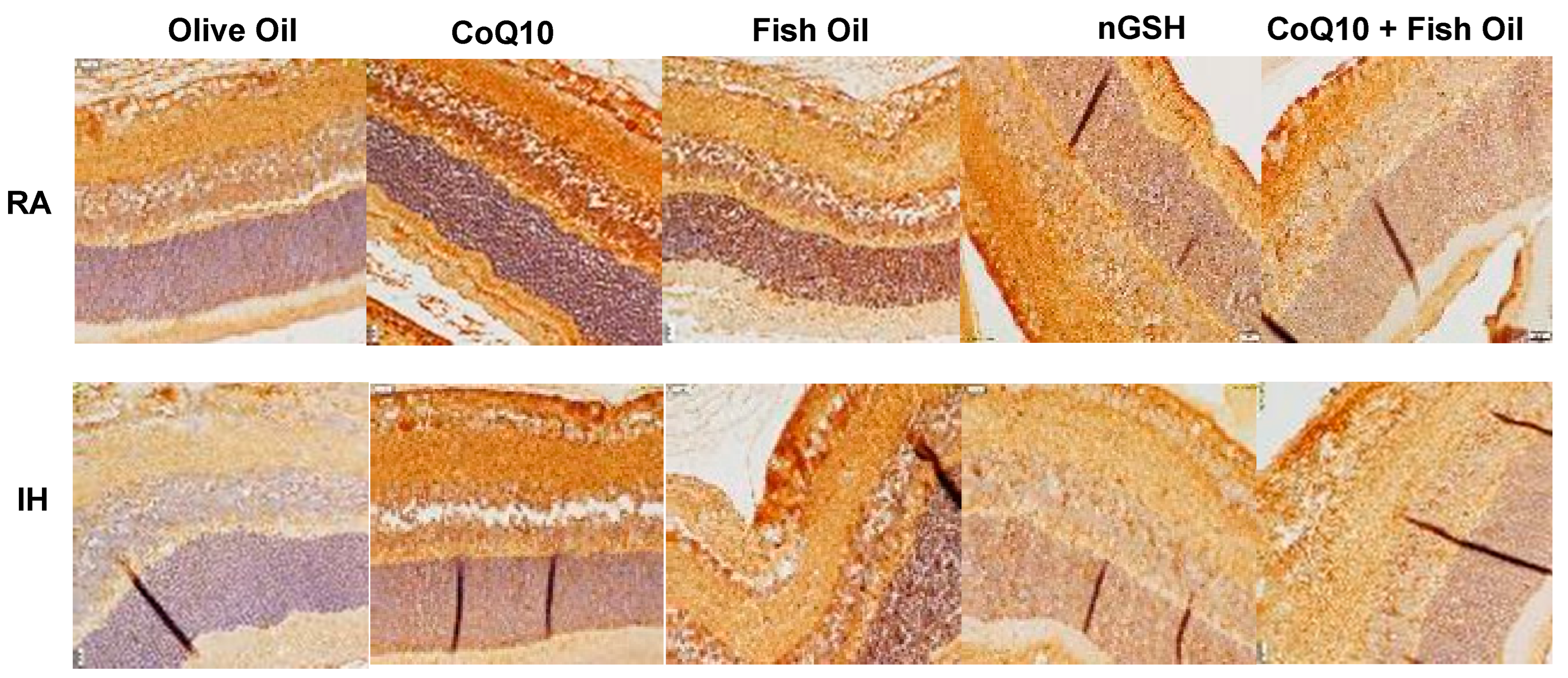 Pharmaceuticals 17 00381 g010