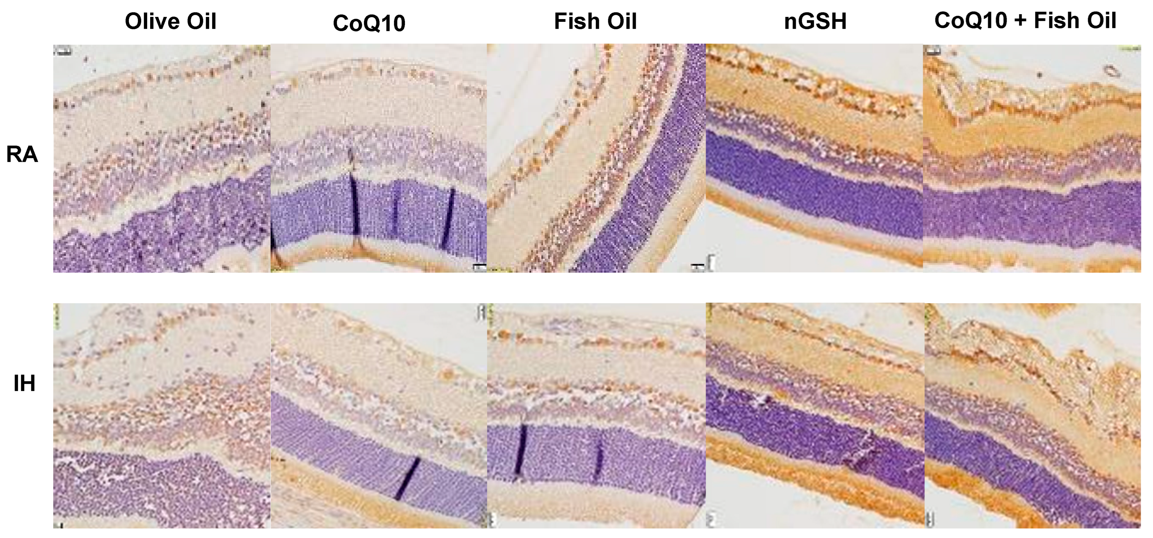 Pharmaceuticals 17 00381 g011