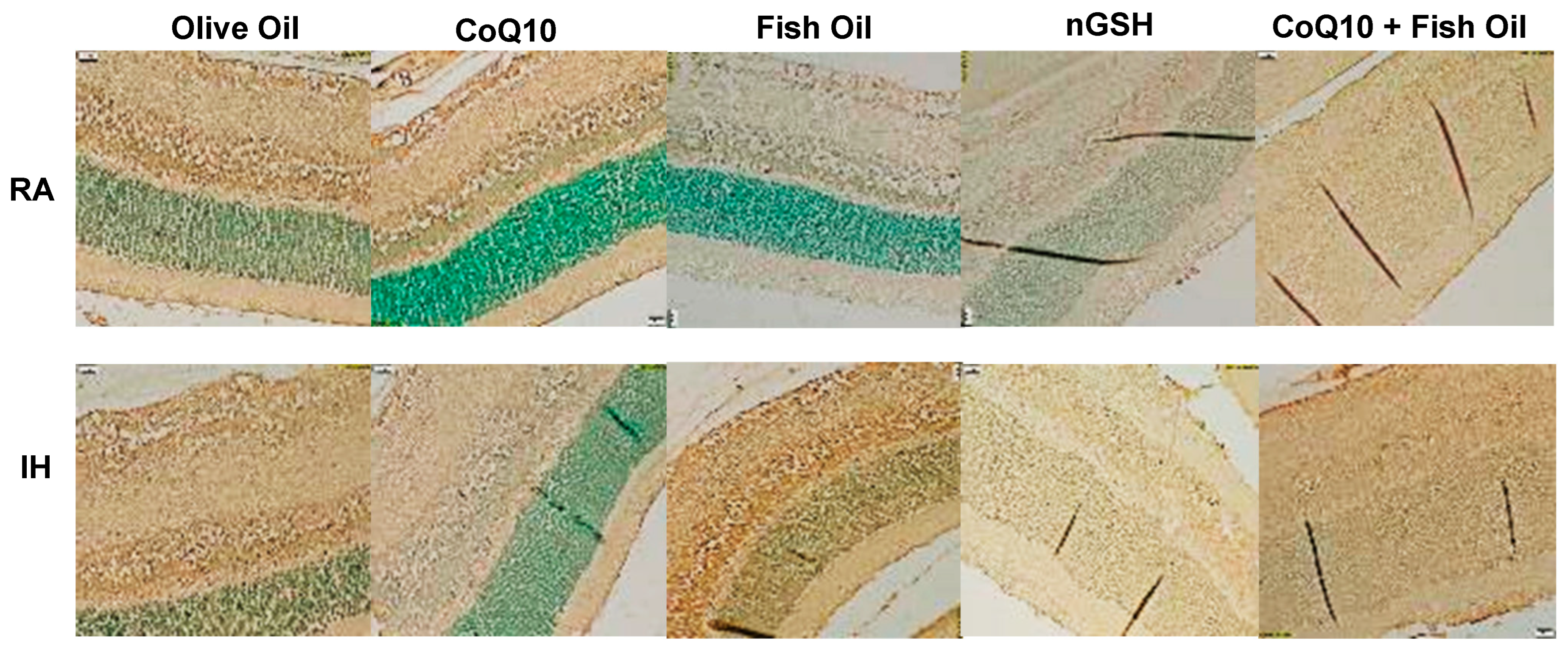 Pharmaceuticals 17 00381 g014
