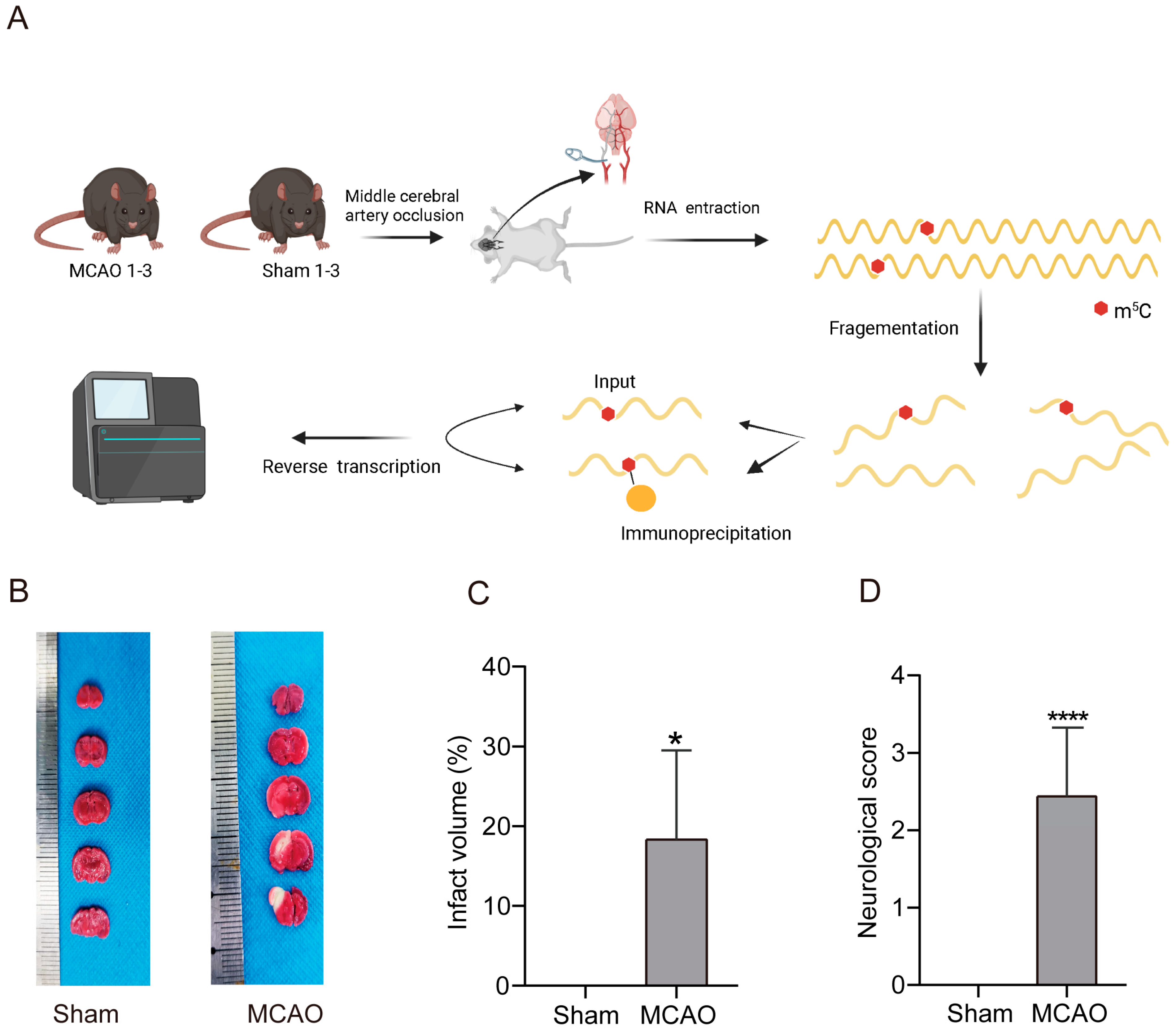 Pharmaceuticals 17 00384 g001