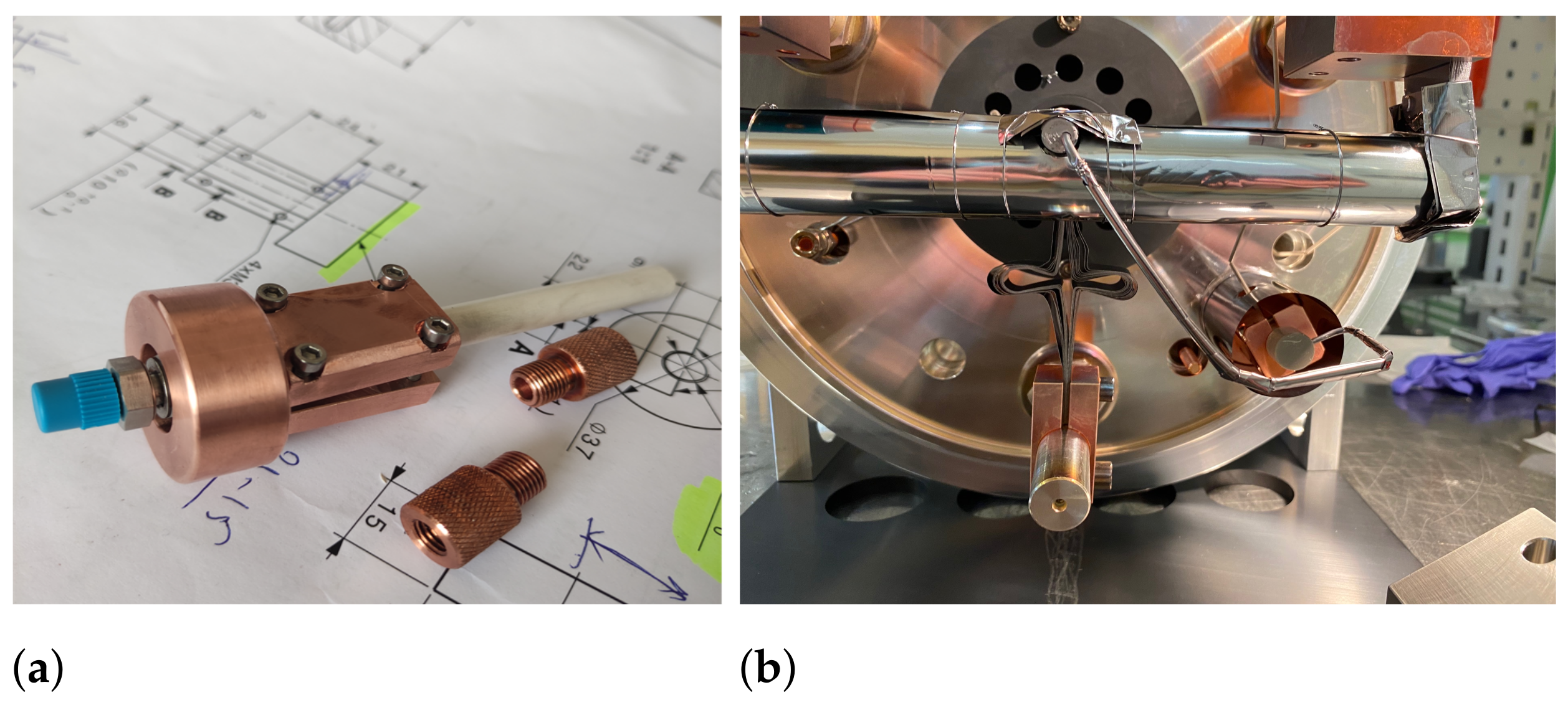 Pharmaceuticals 17 00390 g006