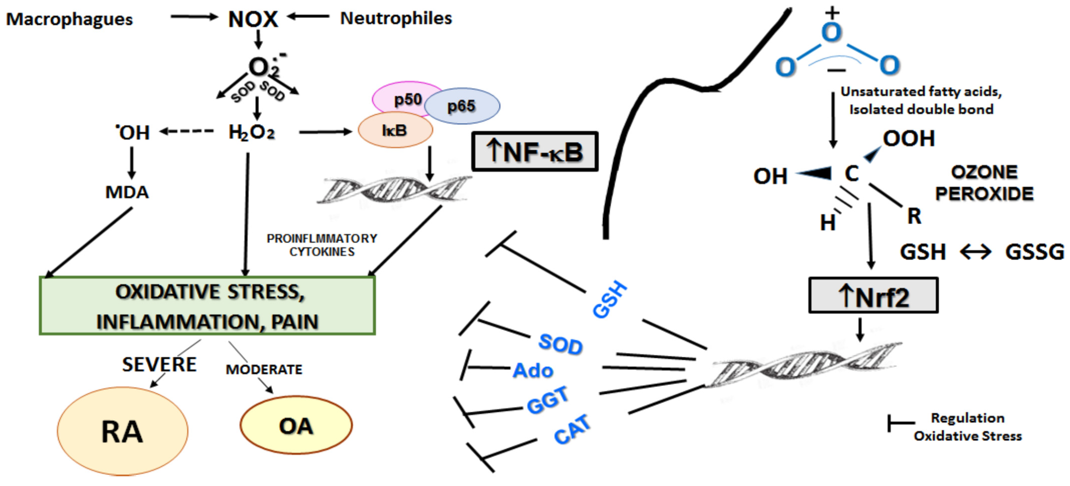 Pharmaceuticals 17 00391 g004