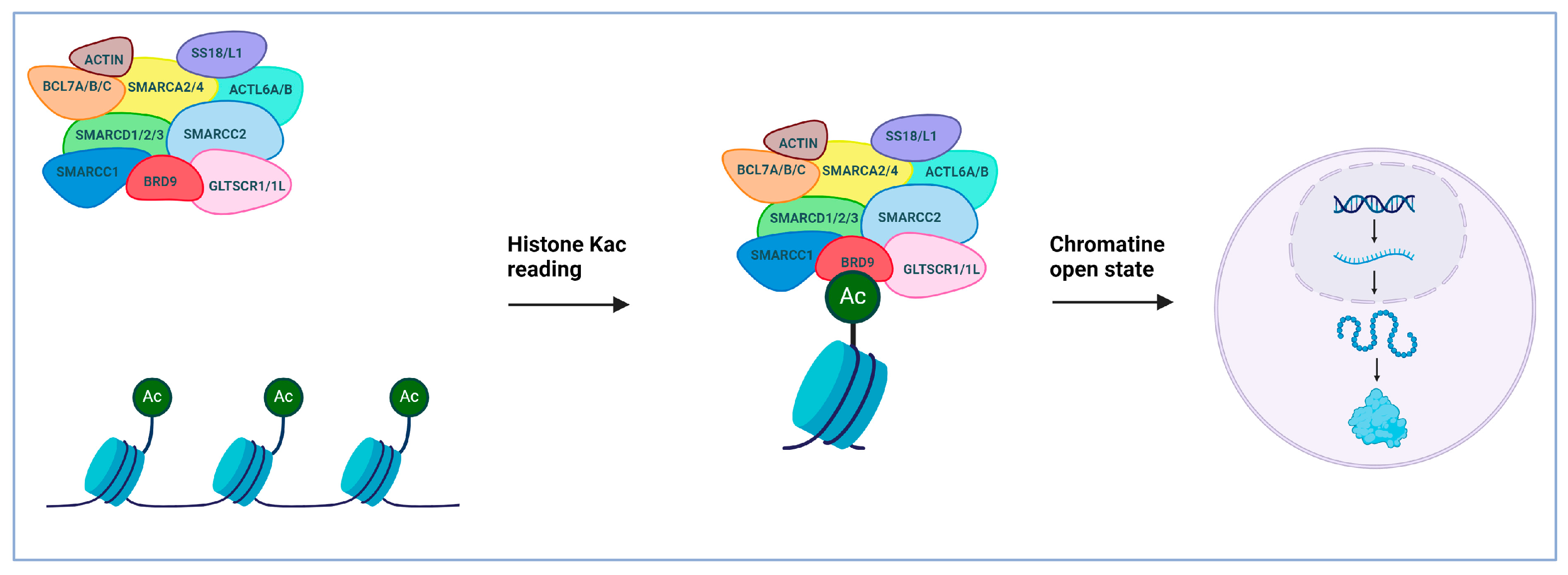 Pharmaceuticals 17 00392 g002