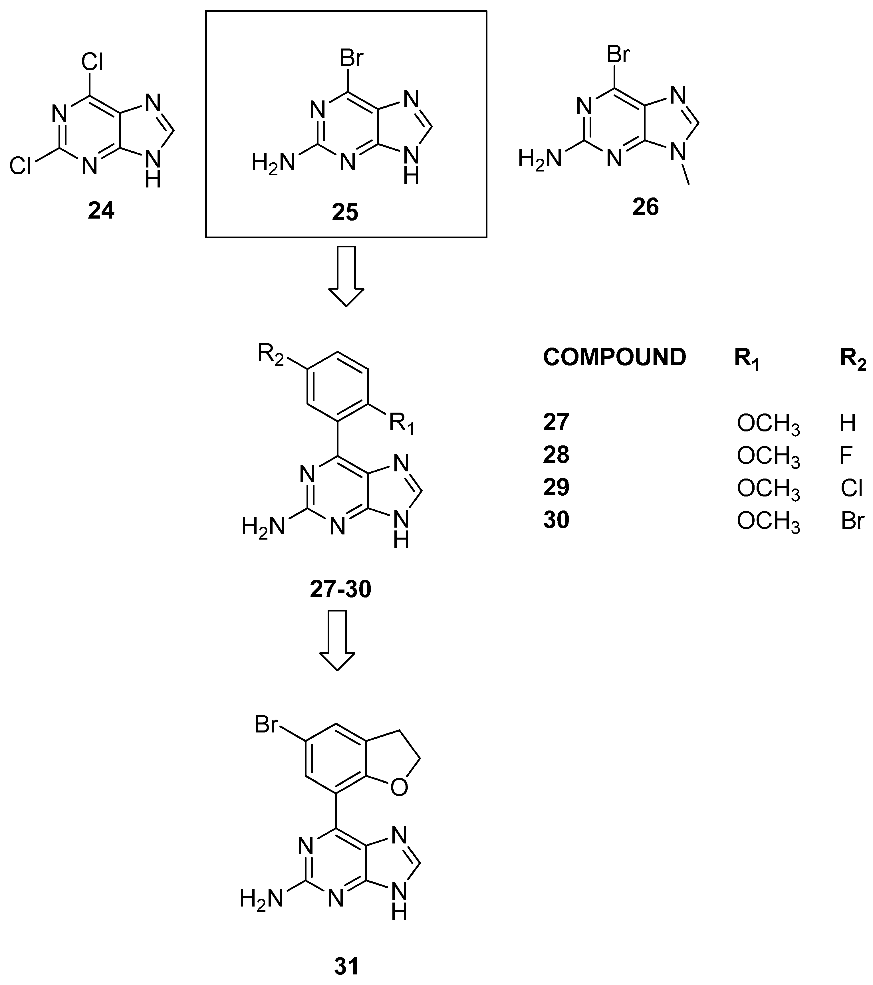 Pharmaceuticals 17 00392 g008