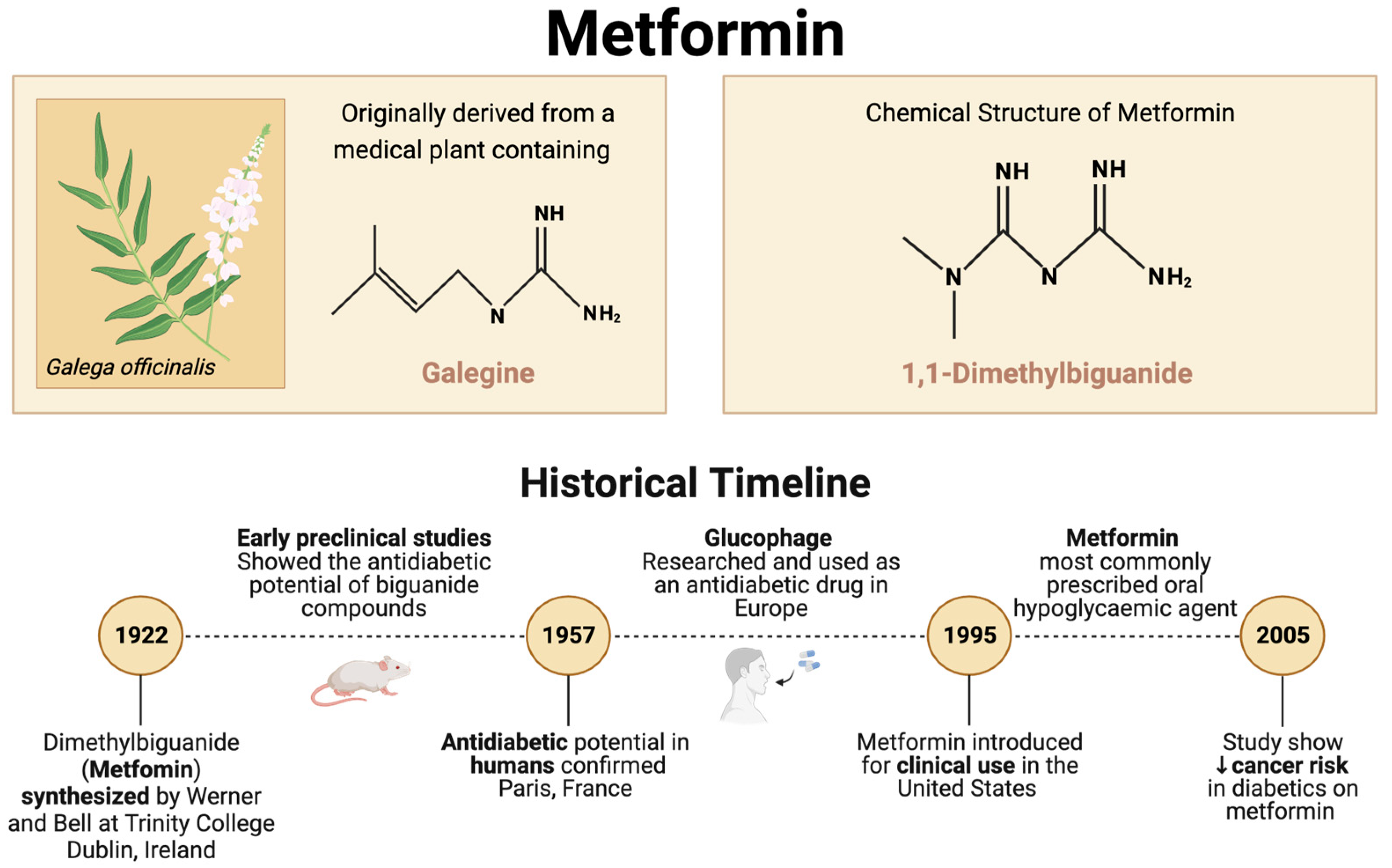 Pharmaceuticals 17 00396 g001