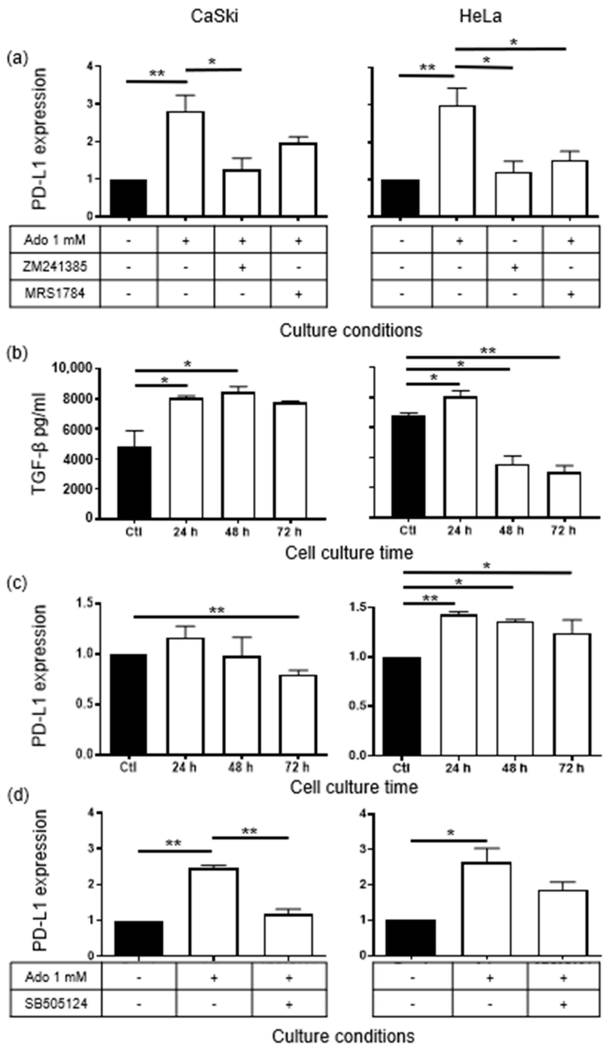 Pharmaceuticals 17 00397 g002