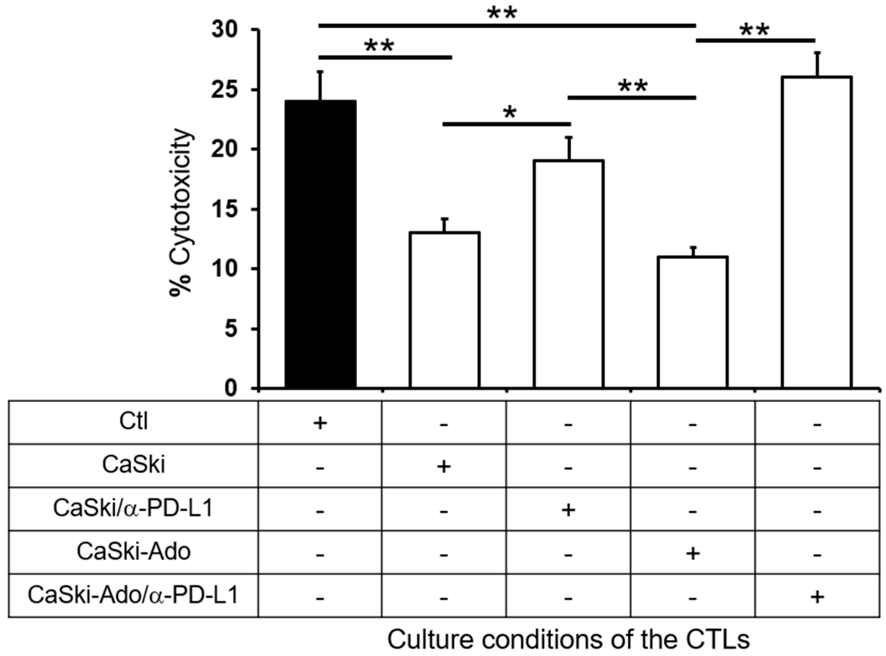 Pharmaceuticals 17 00397 g004
