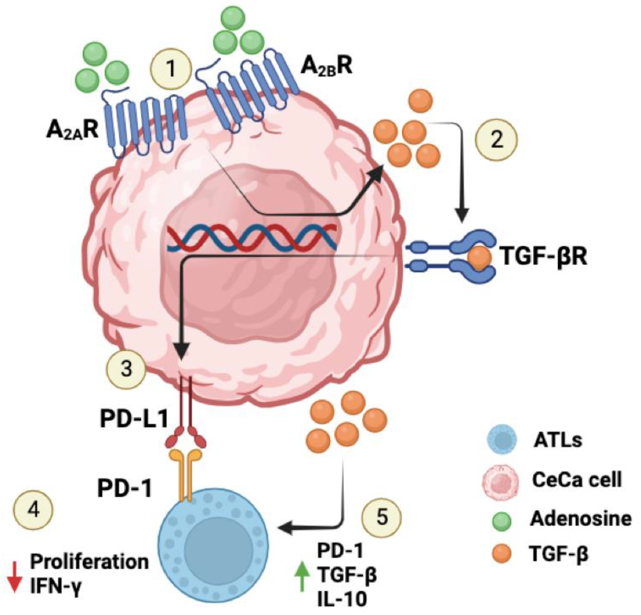 Pharmaceuticals 17 00397 g007