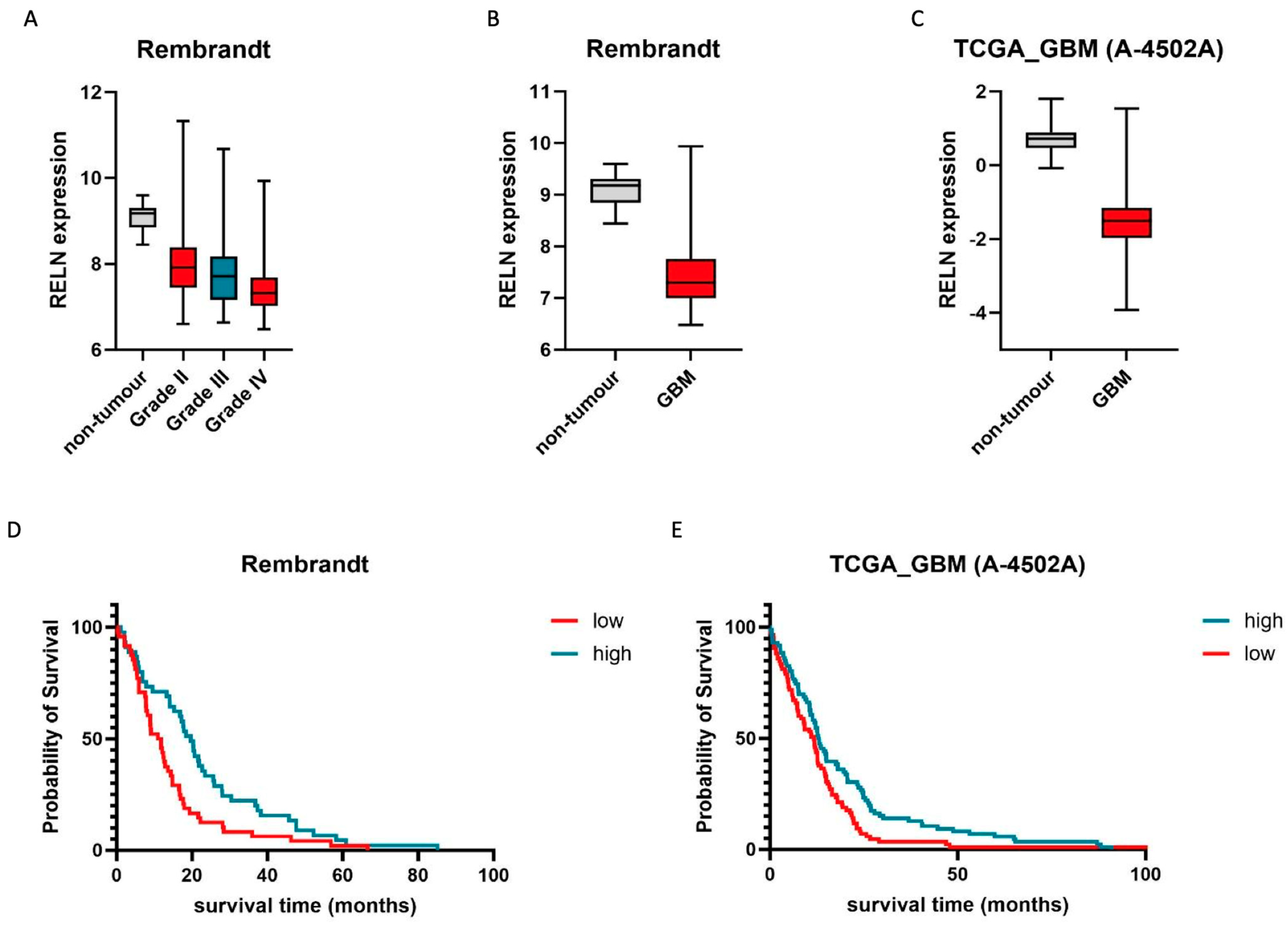 Pharmaceuticals 17 00401 g001