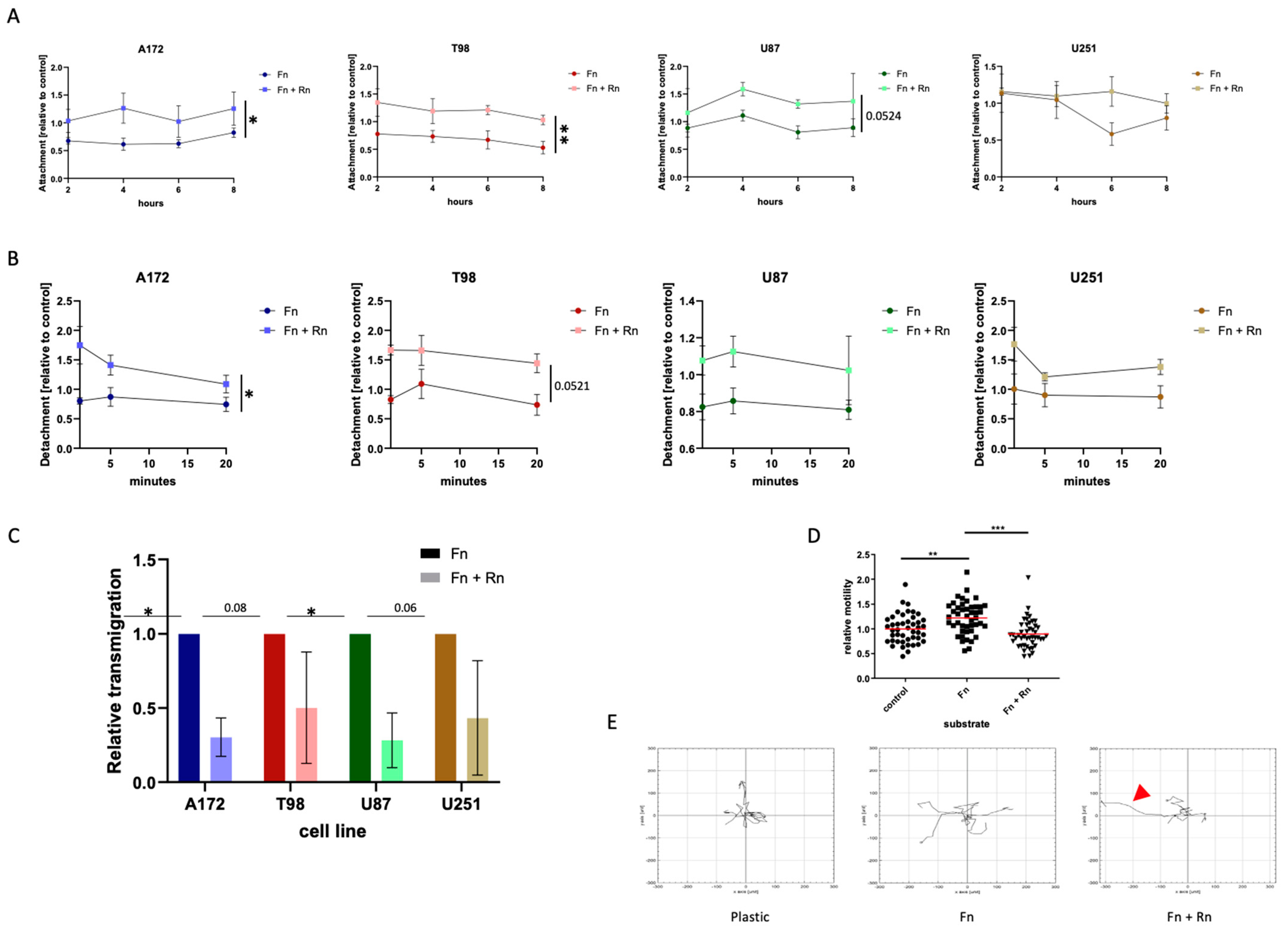 Pharmaceuticals 17 00401 g003