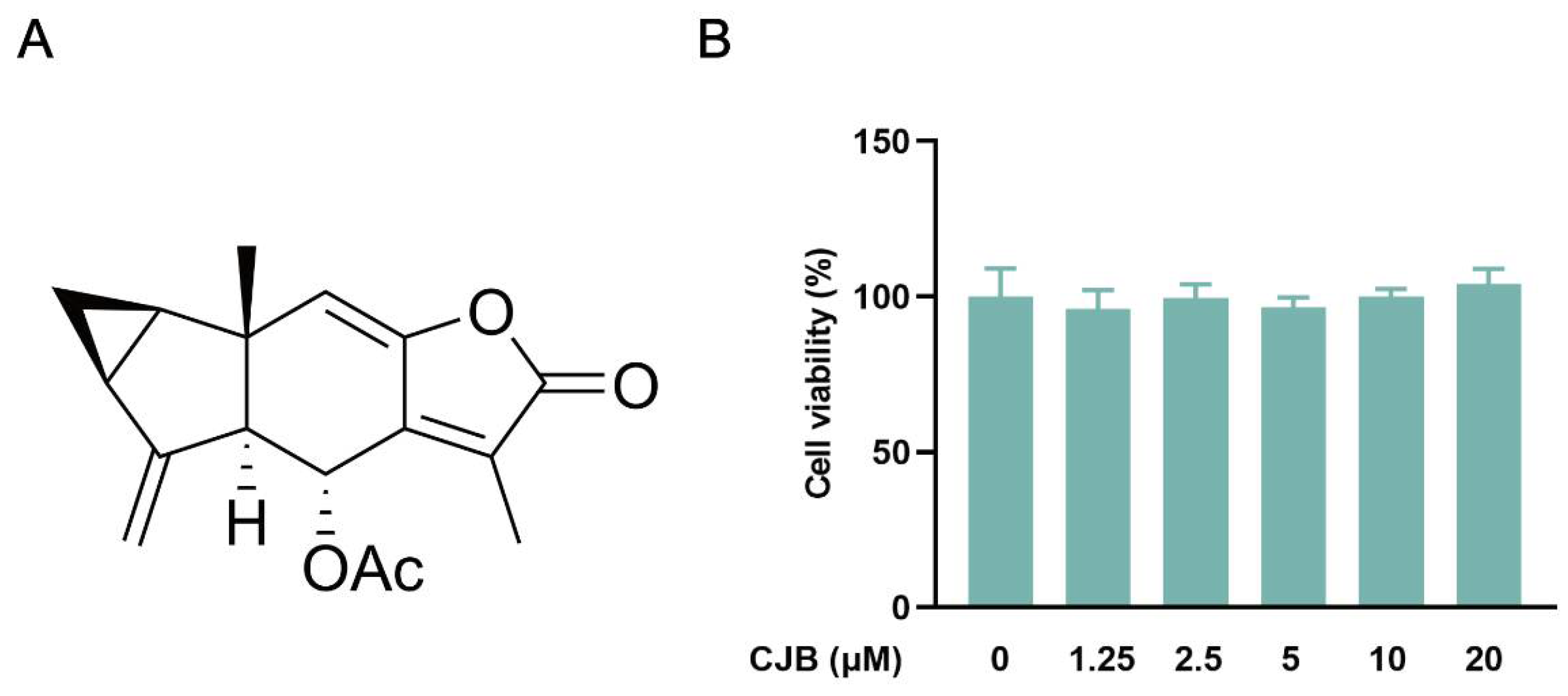 Pharmaceuticals 17 00402 g001