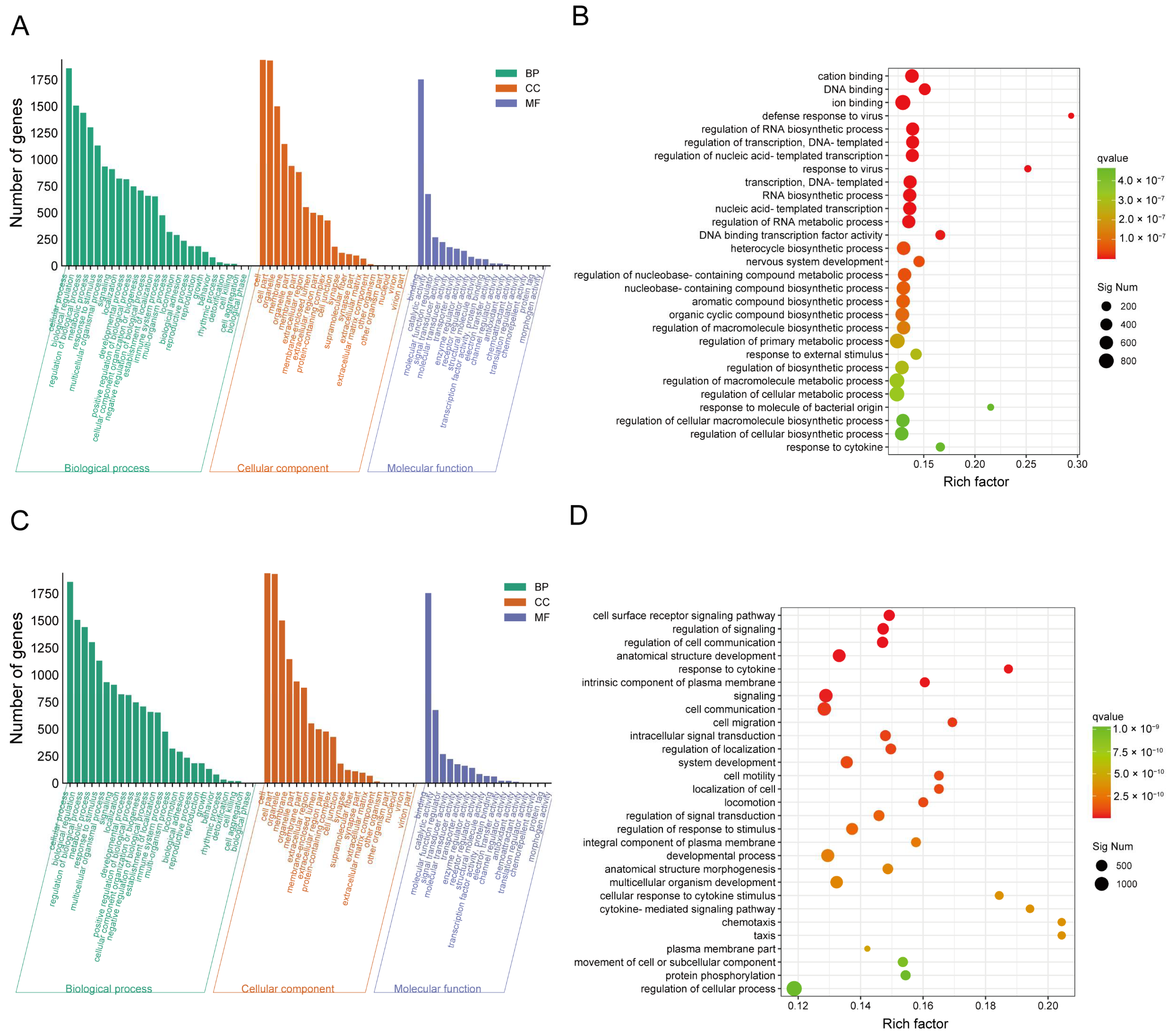 Pharmaceuticals 17 00402 g006