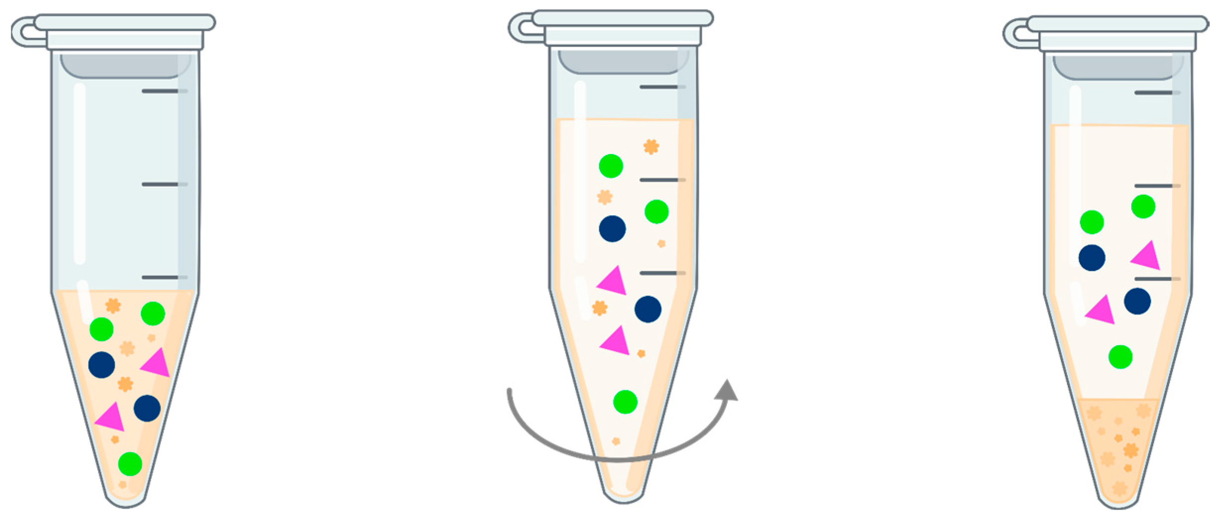 Pharmaceuticals 17 00403 g004 Pharmaceuticals 17 00403 g004