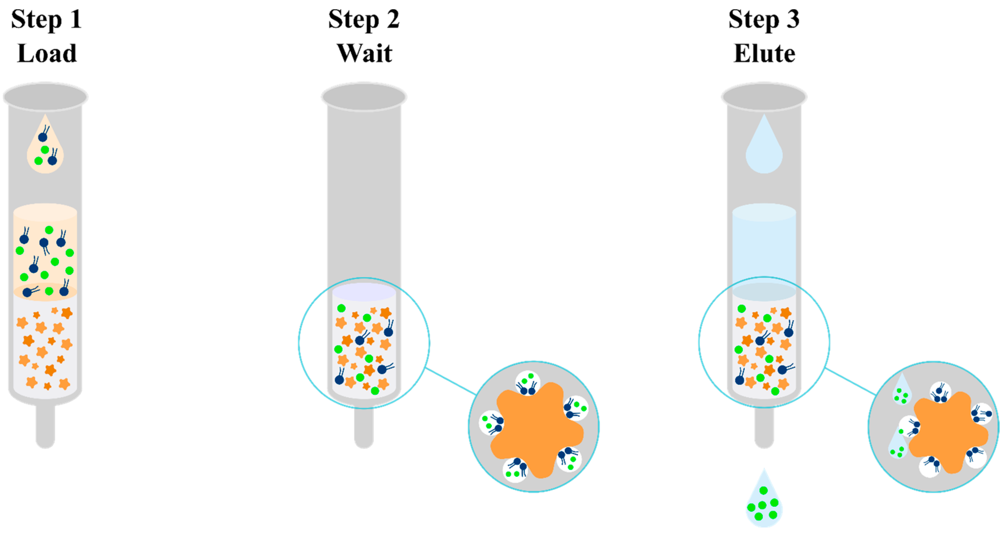 Pharmaceuticals 17 00403 g006 Pharmaceuticals 17 00403 g006