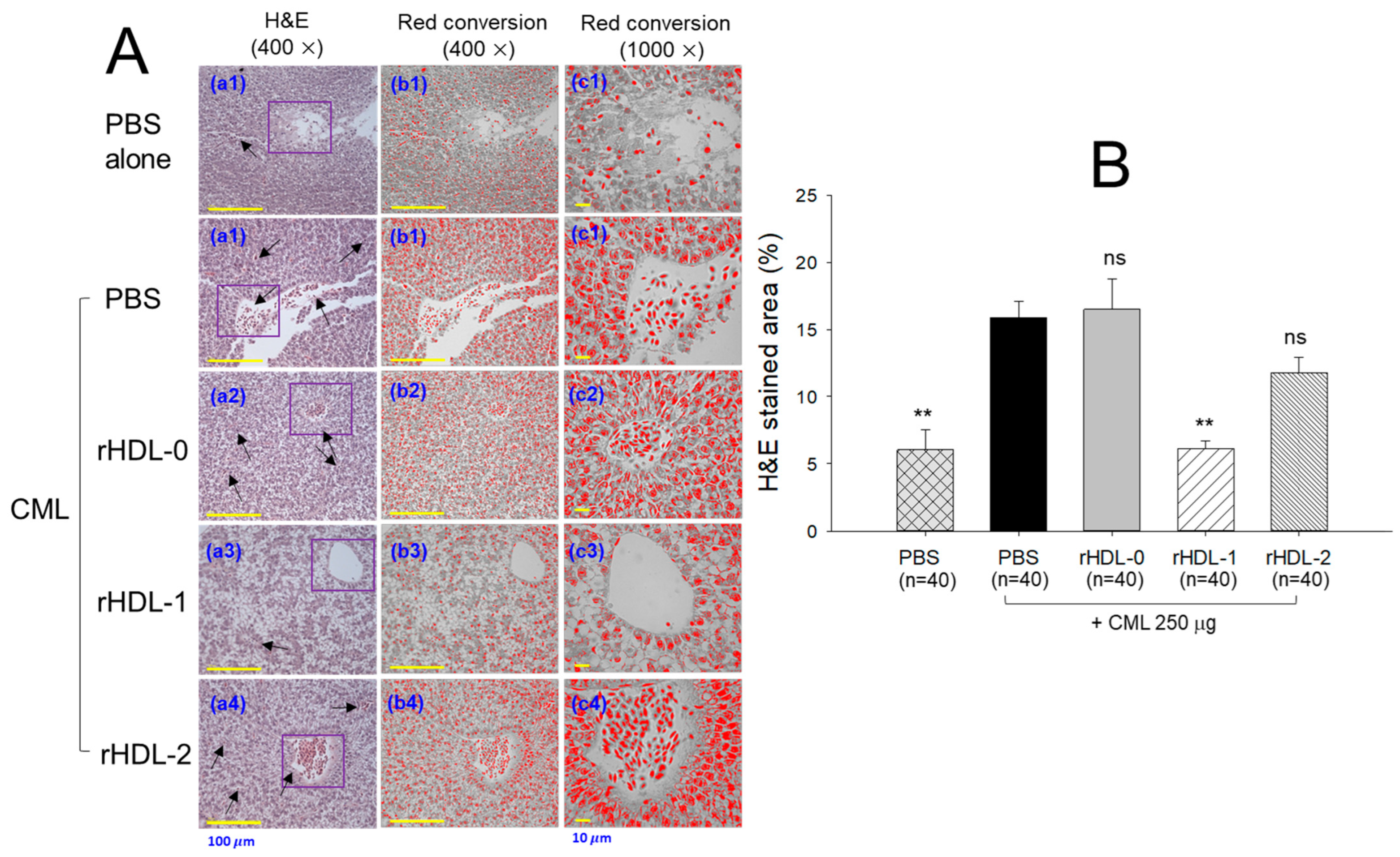 Pharmaceuticals 17 00406 g011