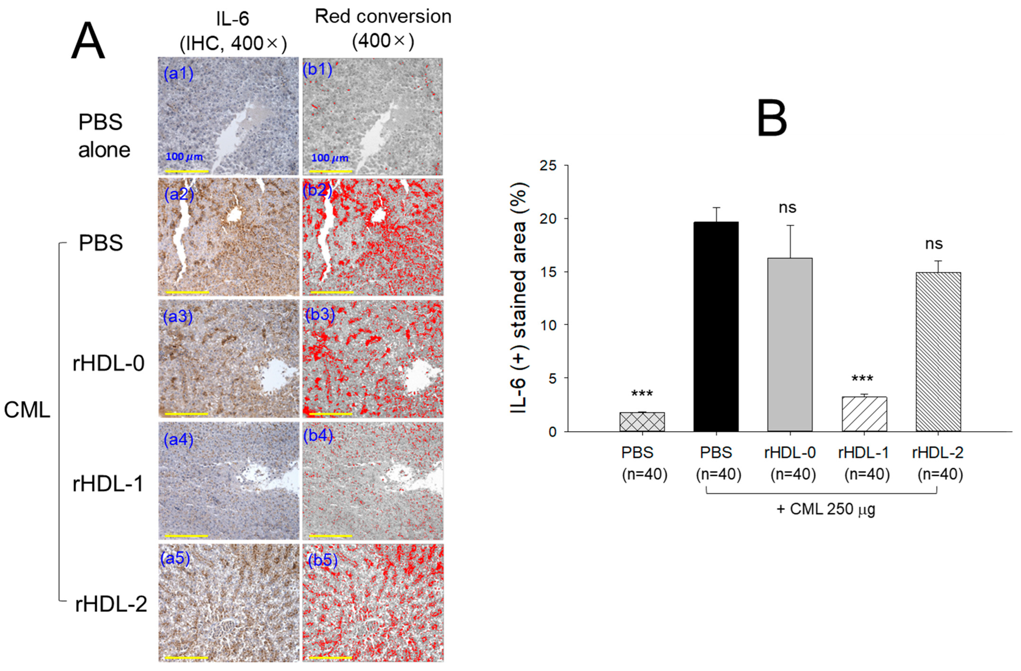 Pharmaceuticals 17 00406 g012