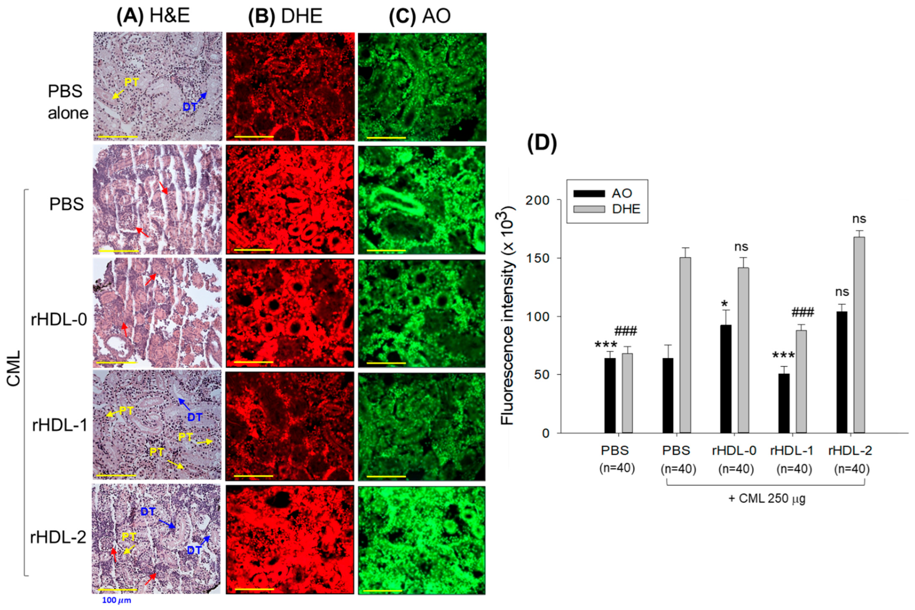 Pharmaceuticals 17 00406 g013