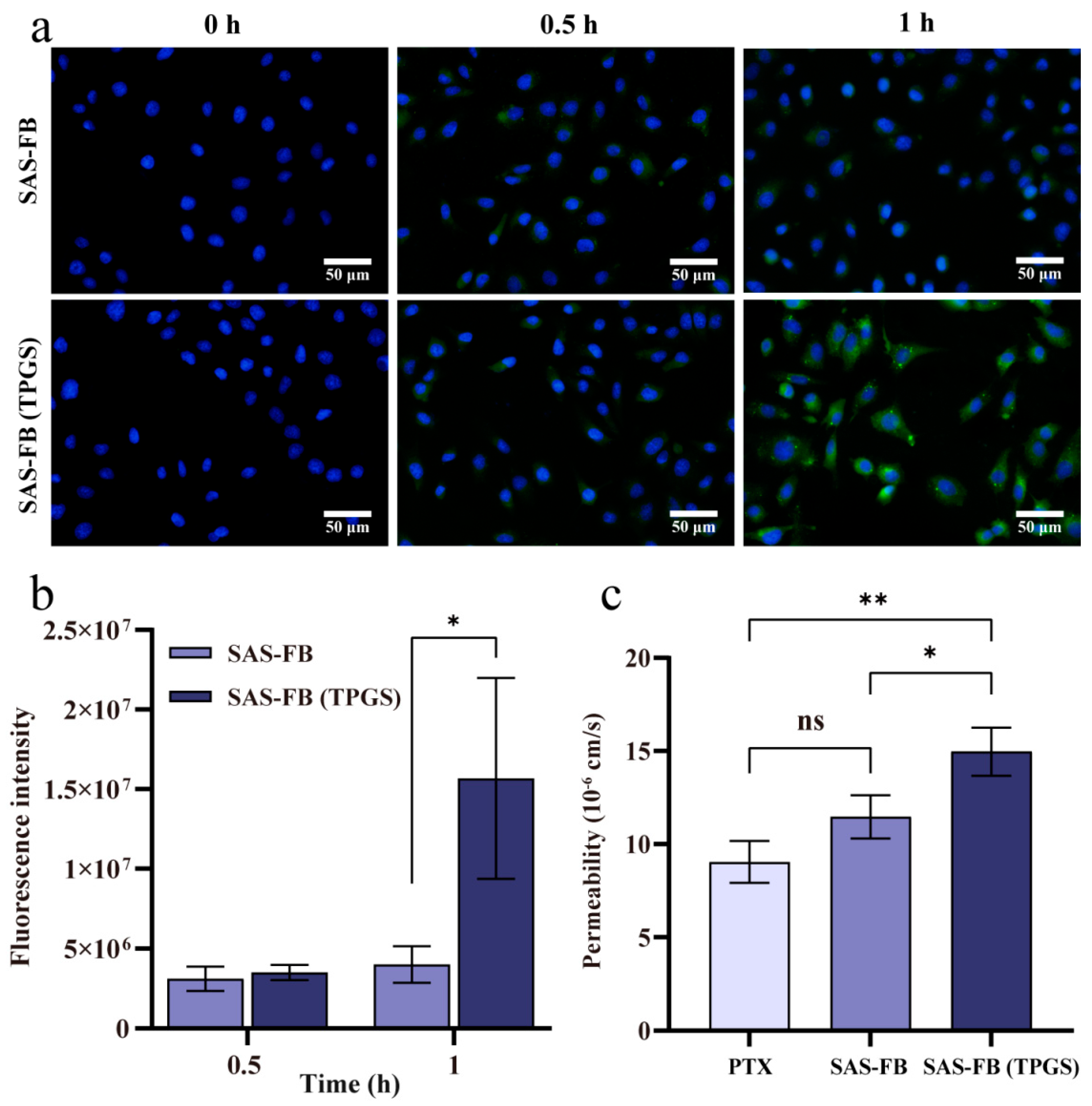 Pharmaceuticals 17 00412 g005
