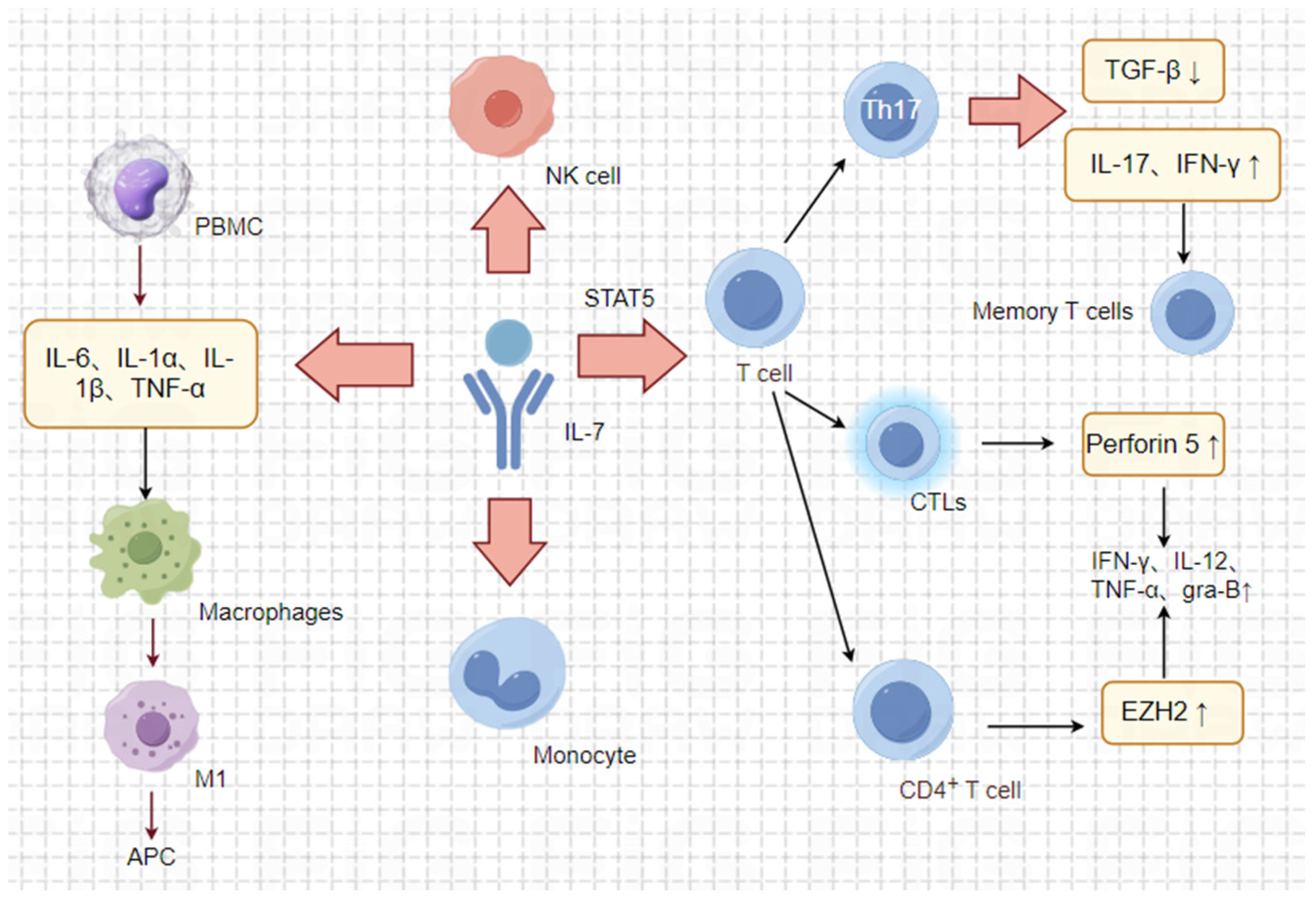 Pharmaceuticals 17 00415 g003 Pharmaceuticals 17 00415 g003