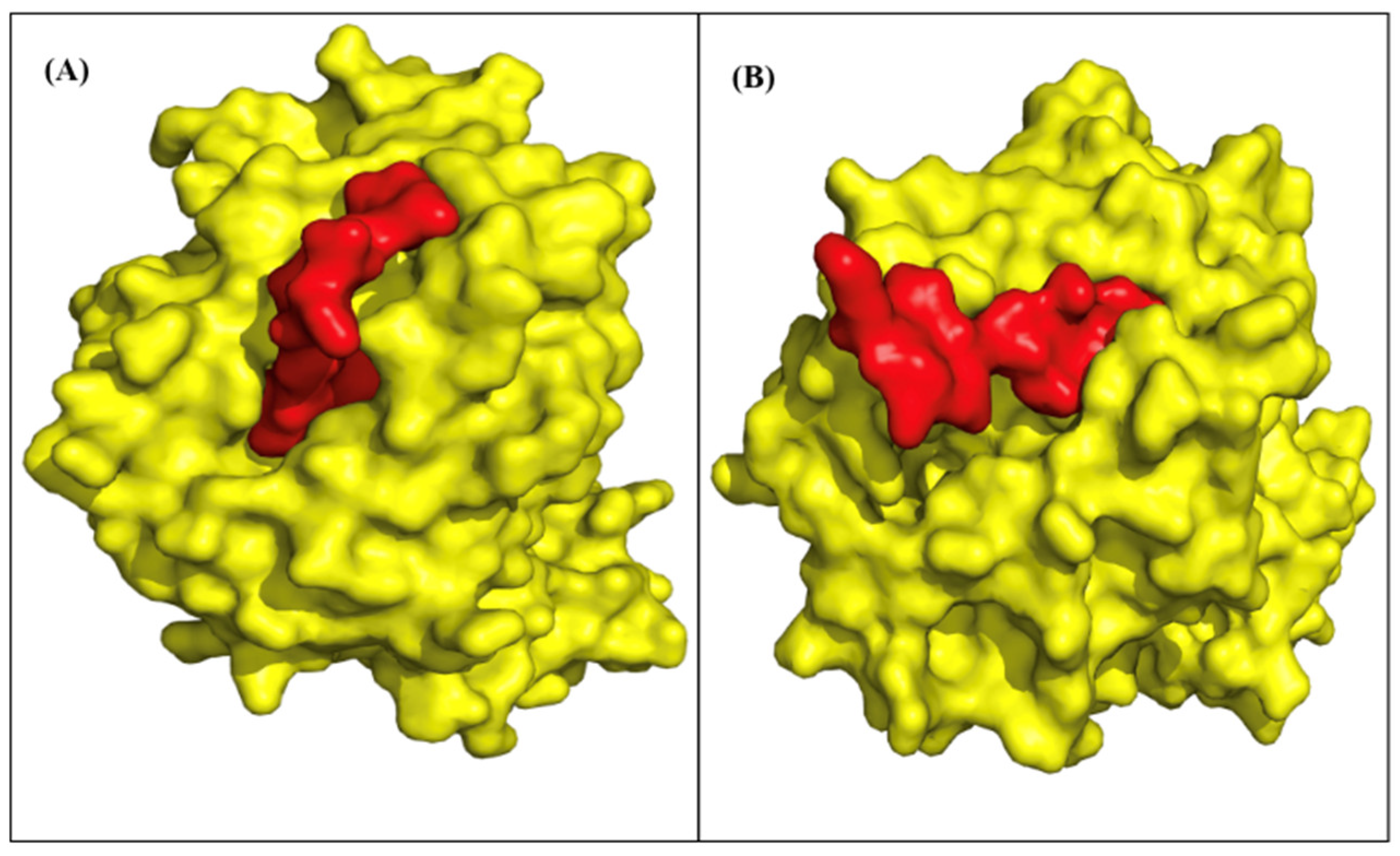 Pharmaceuticals 17 00419 g004