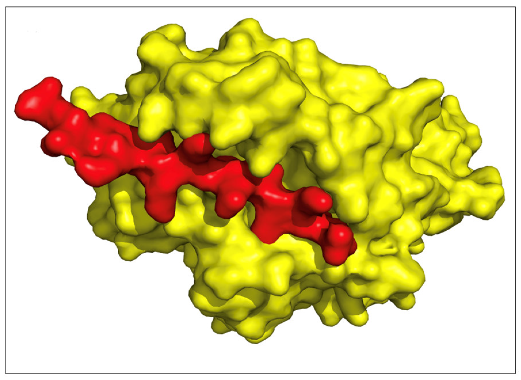 Pharmaceuticals 17 00419 g005