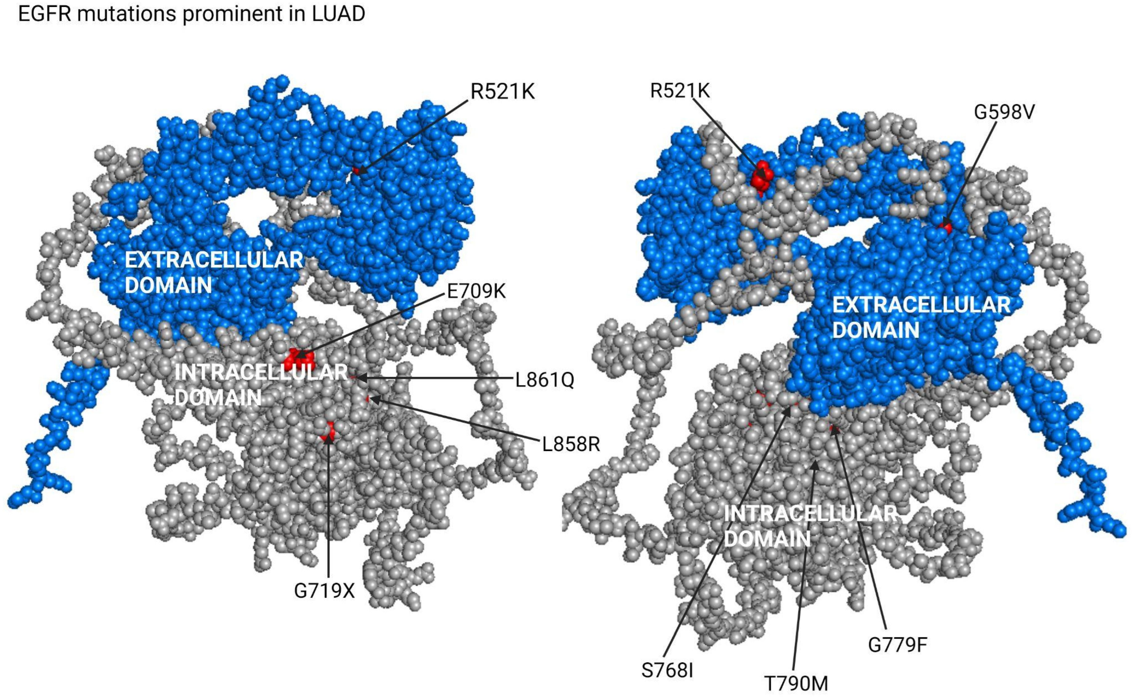 Pharmaceuticals 17 00419 g007