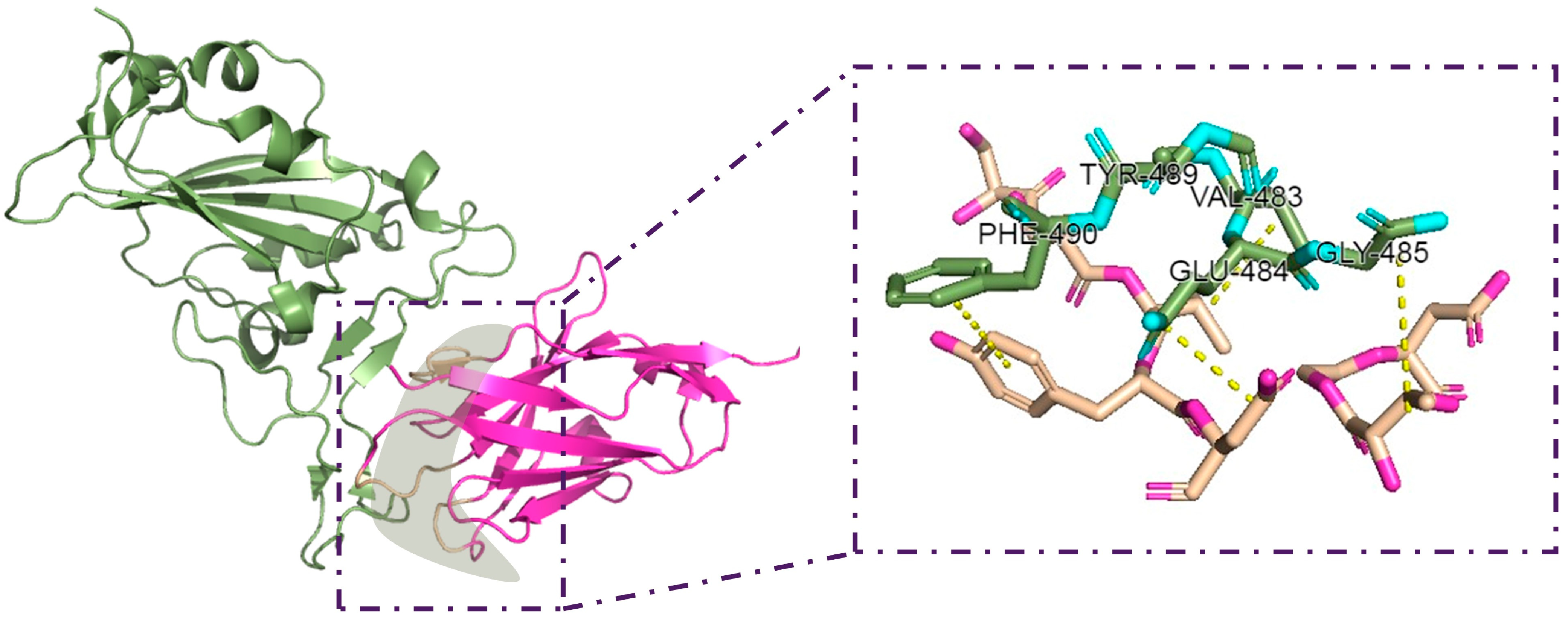 Pharmaceuticals 17 00424 g004